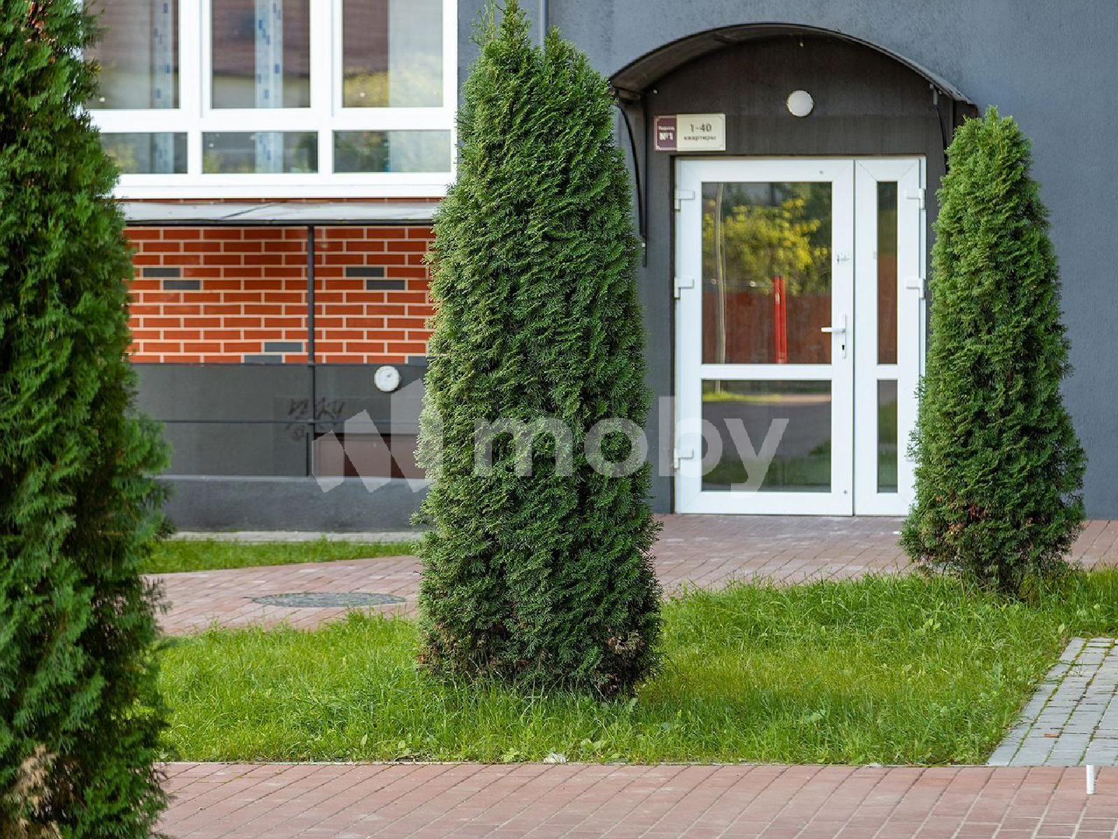 Фото: 75f63a12-c4bc-4e6c-9f9d-184eb6e756b7.jpg