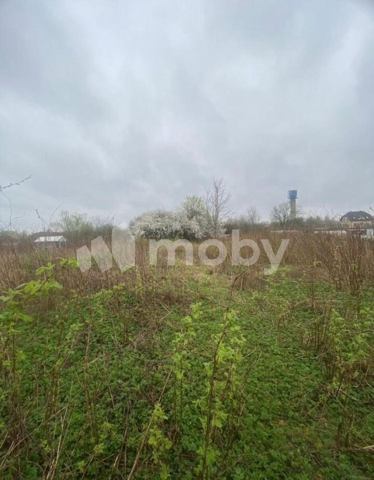 Фото: 763dc376-632f-46f6-a9d7-8798ccf70dfd.jpeg