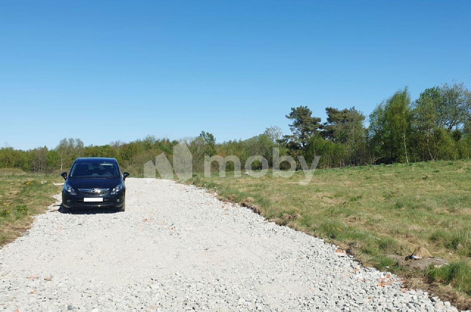 Фото: 768afe43-970a-4a71-973f-1b2217a921f1.jpg