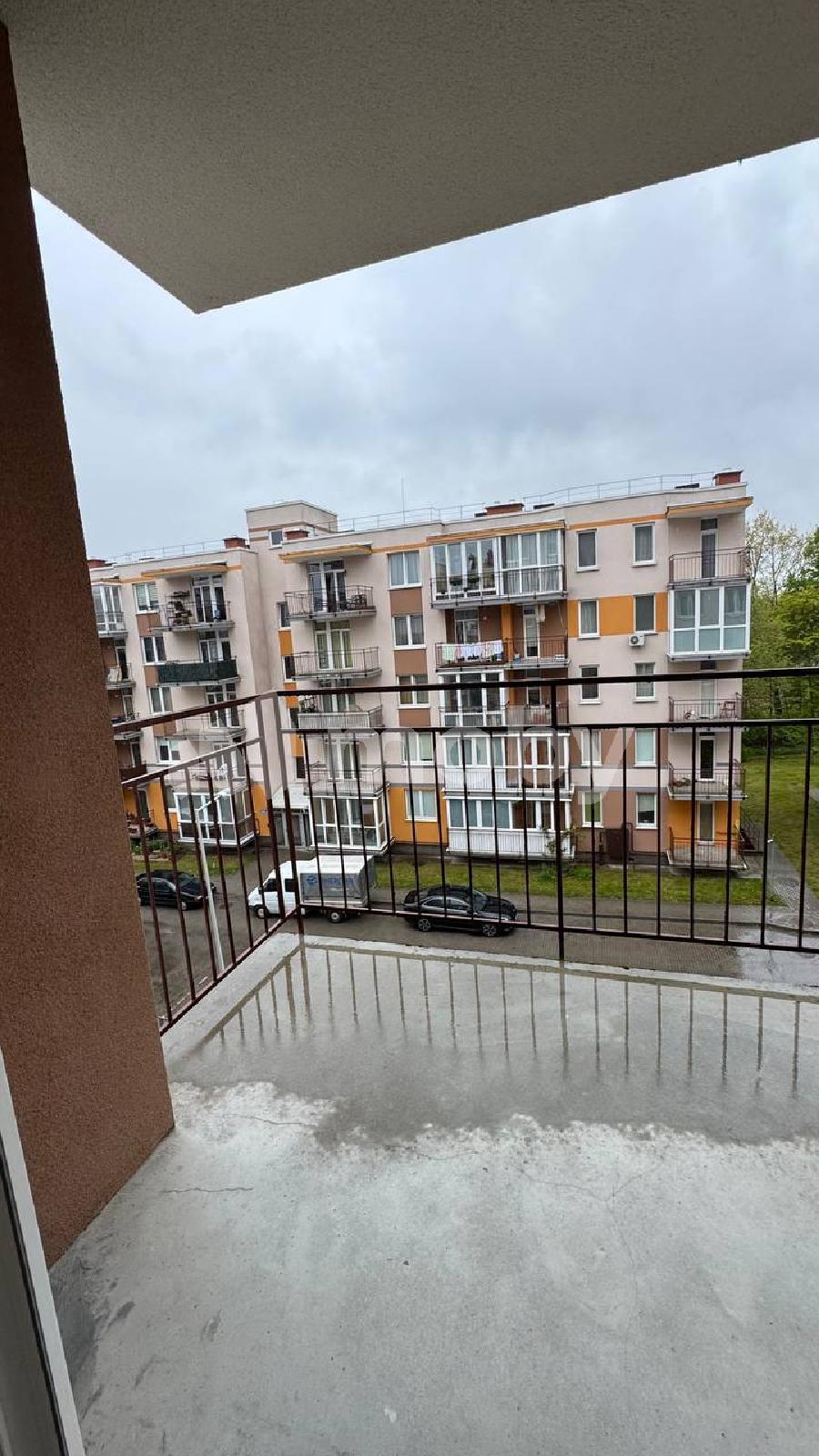 Фото: 774045c5-eb76-4835-9d14-0a5f07eb1846.jpg