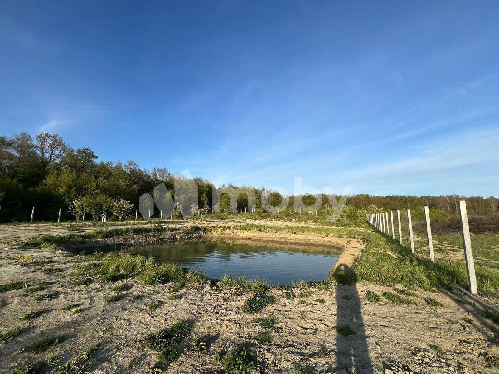 Фото: 779e971b-2fd6-462b-8f4e-d5ba9b435bbd.jpg