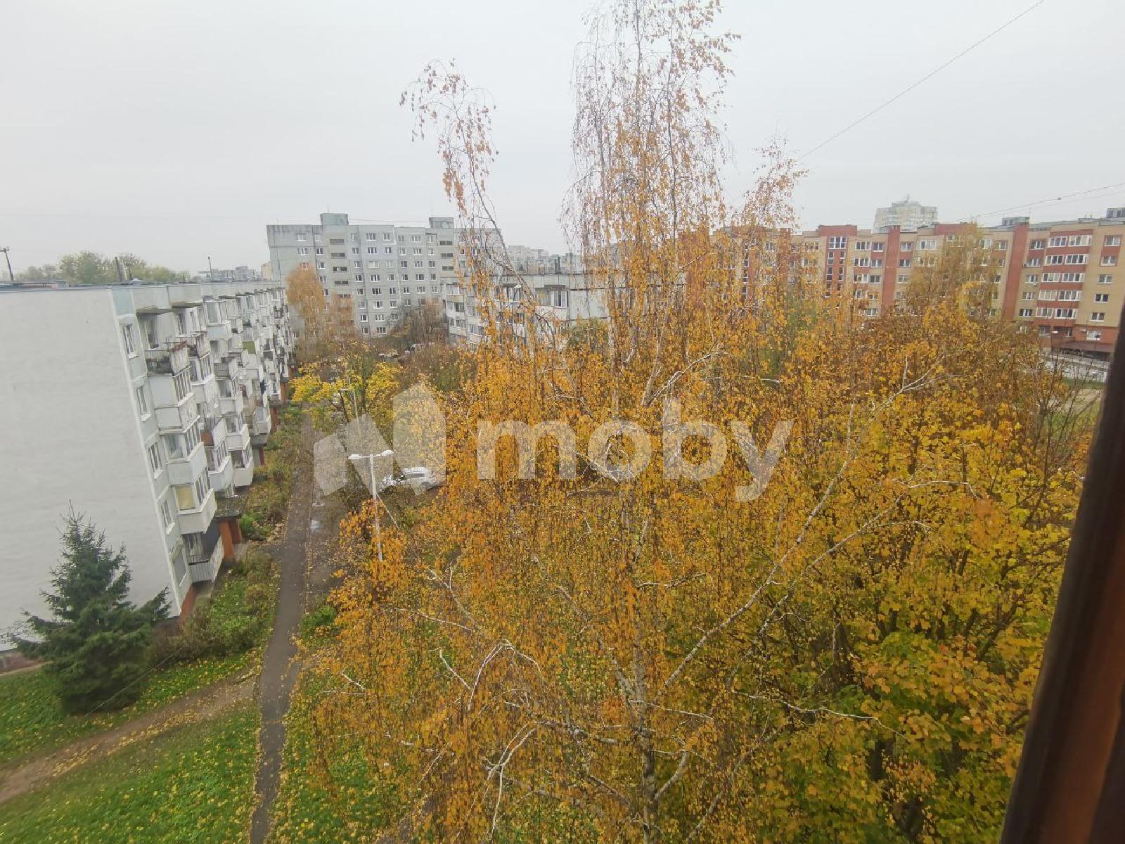 Фото: 78b7ab59-42b3-40f6-9711-da65603177ad.jpeg