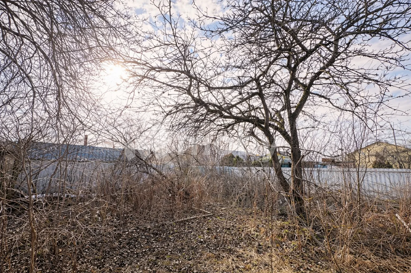 Фото: 7958bbf6-2041-4aaf-a464-695251c59a5f.png