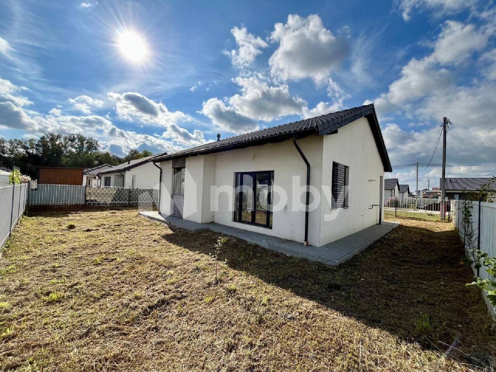 Фото: 797296ea-4d67-446c-b269-2b18ecef2837.jpg