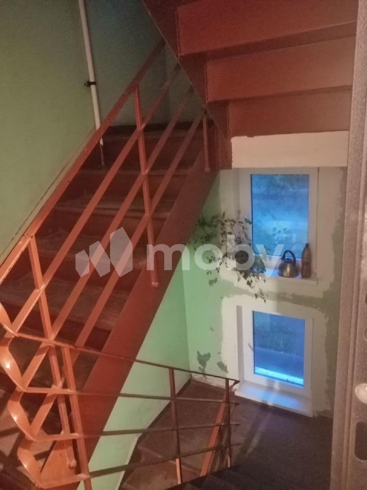 Фото: 799e357b-9585-4830-bf24-1554d1e4e662.jpg