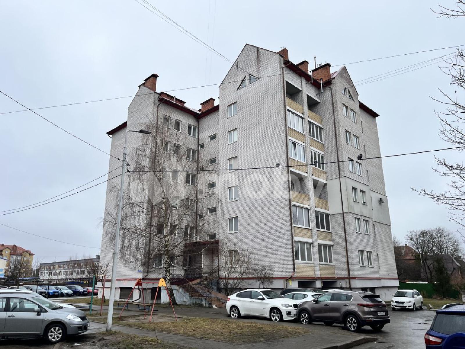 Фото: 79fc3944-927b-4fba-8bdd-9e71a5038328.jpg