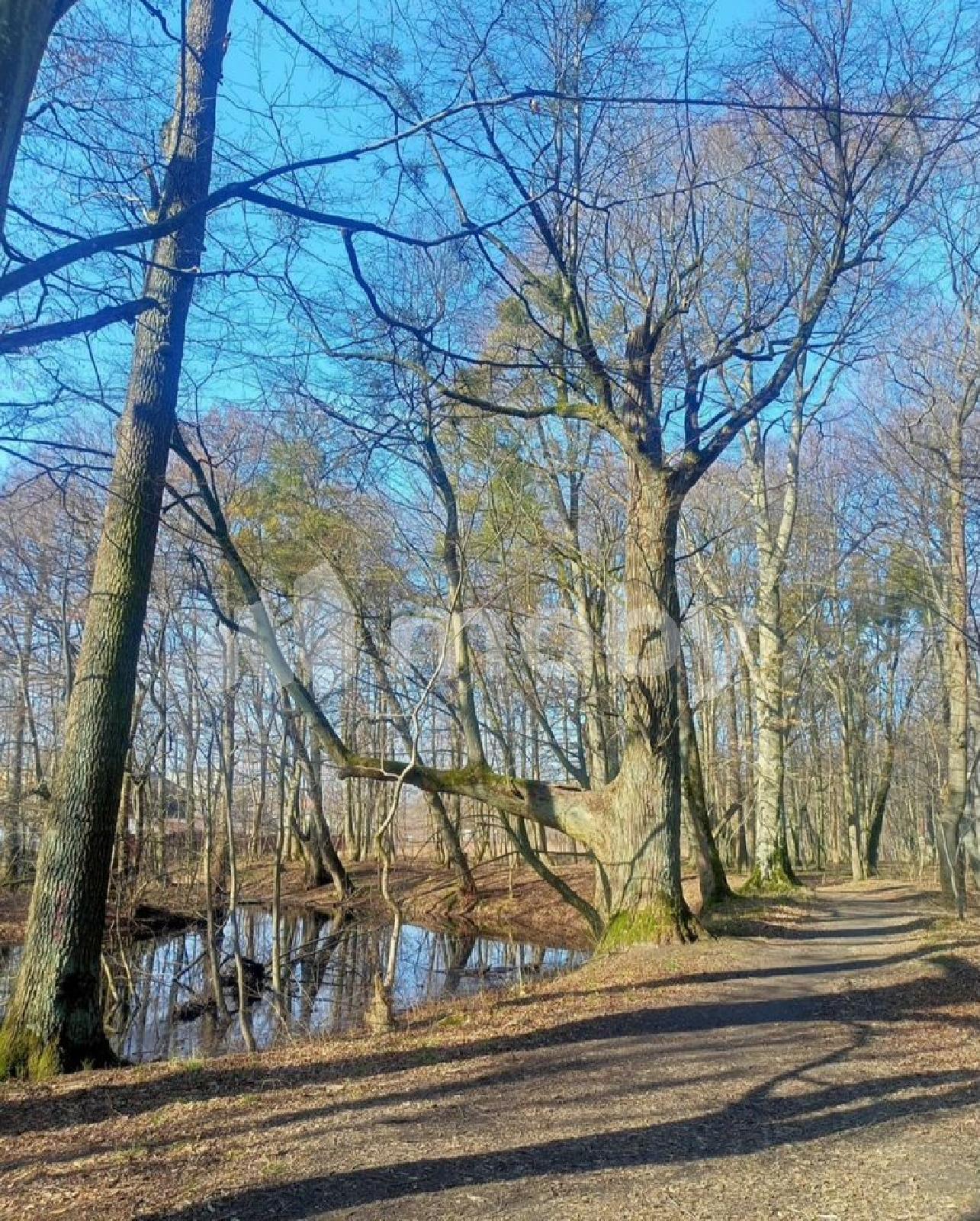 Фото: 7c164347-57e0-40e8-9ffd-4216f4cea300.jpg