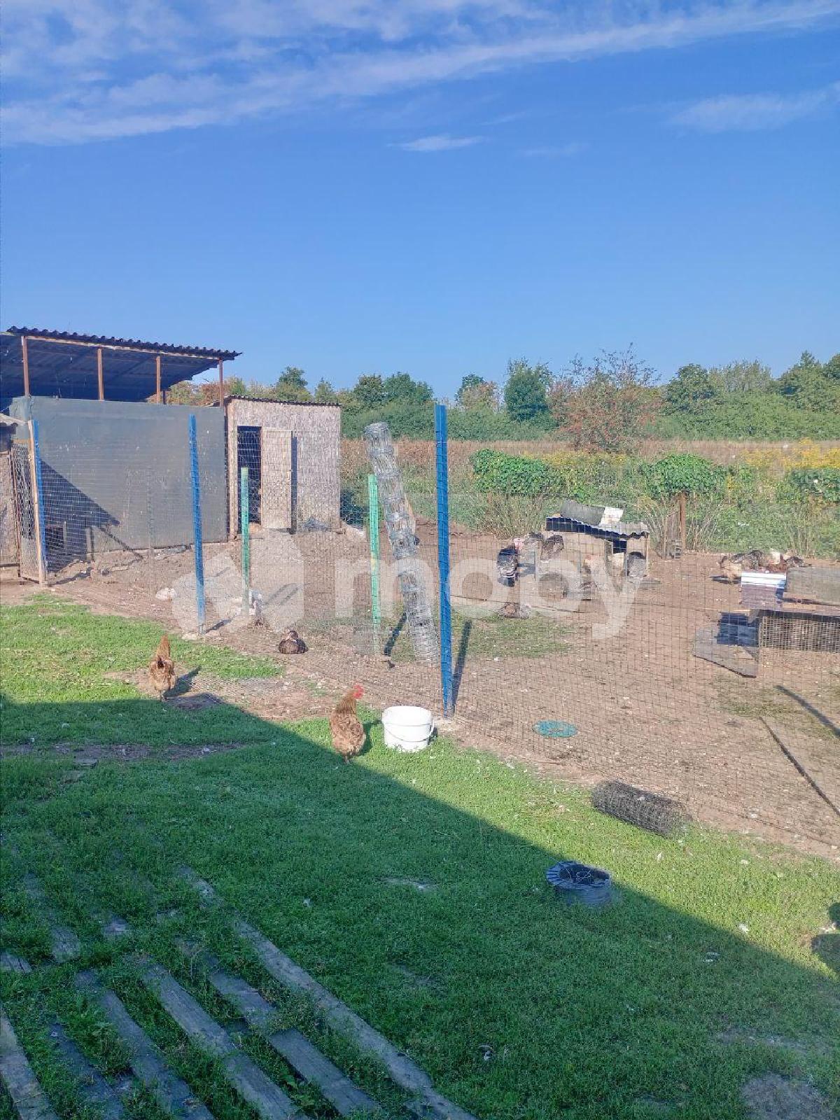 Фото: 7c4df0f8-1e0f-44df-bd5b-d823be4d3ddb.jpg