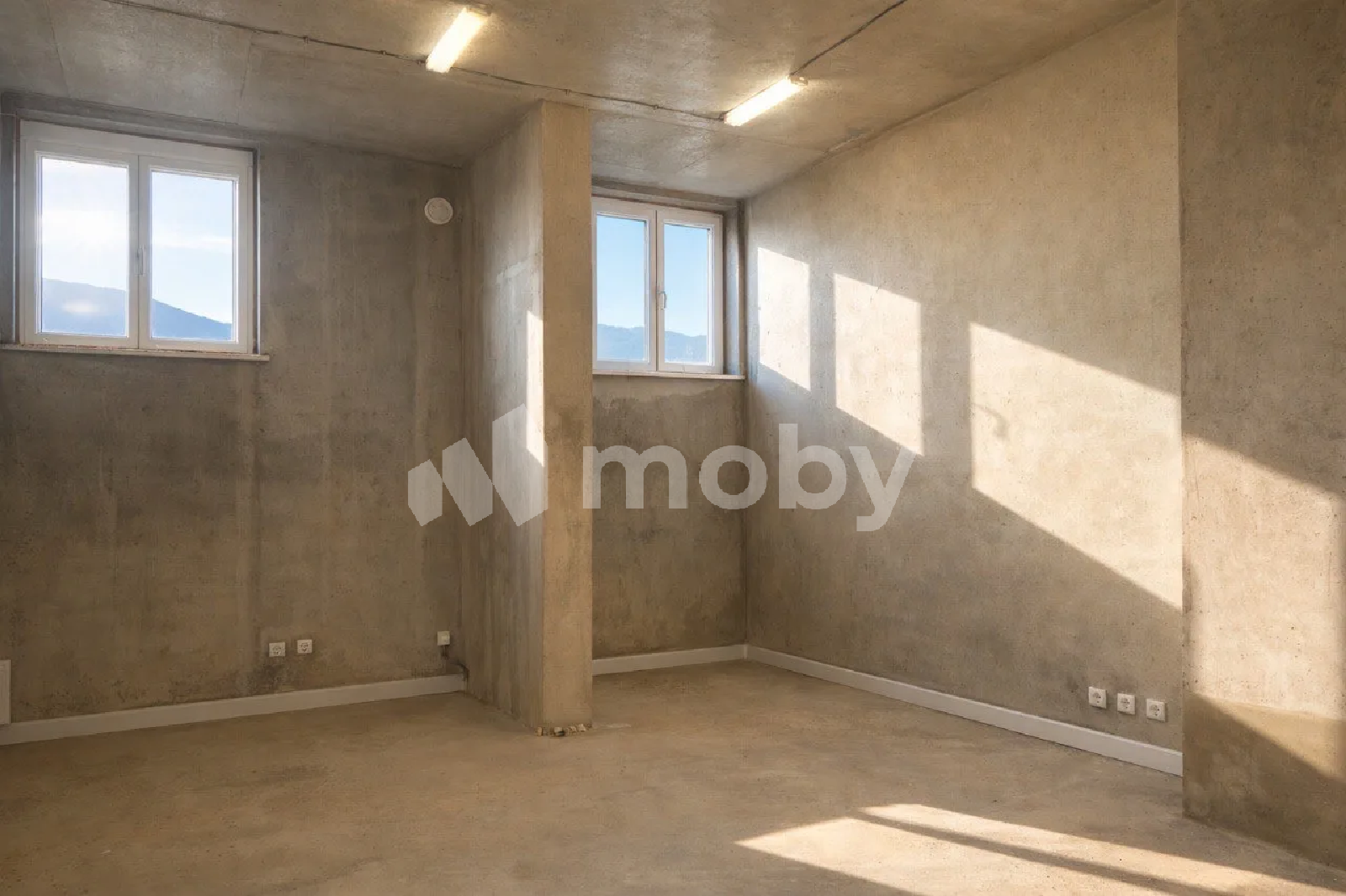 Фото: 7d03d20f-09e5-4ae7-93bb-69c1709f5784.png