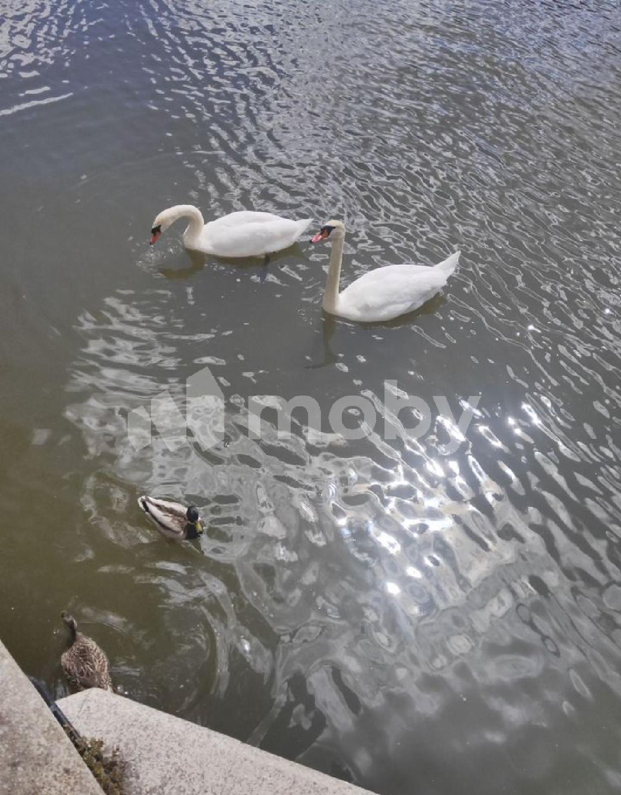 Фото: 7da5dafd-e15e-4326-9376-cc9c6a628ea6.jpg