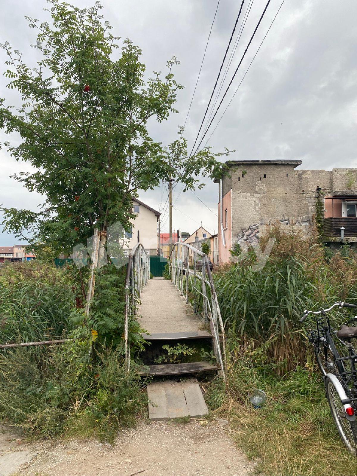 Фото: 7dea8c8c-1783-443b-9757-6b3d87db1abb.jpg