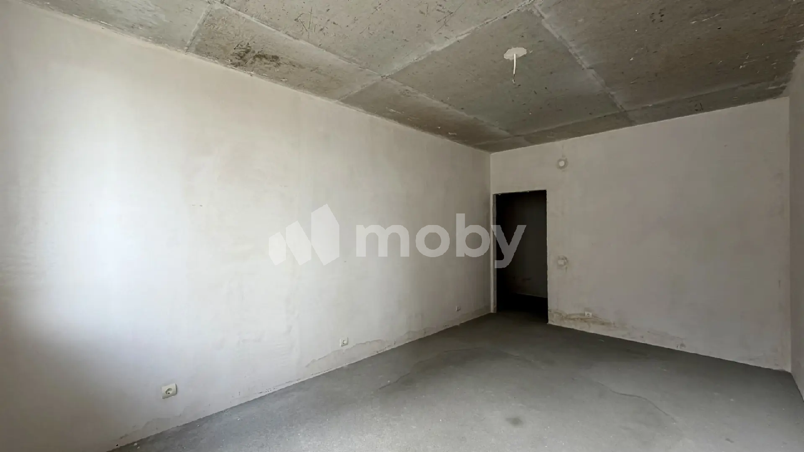 Фото: 7dff43ad-bba8-4887-98c0-be5b9621fcfa.png