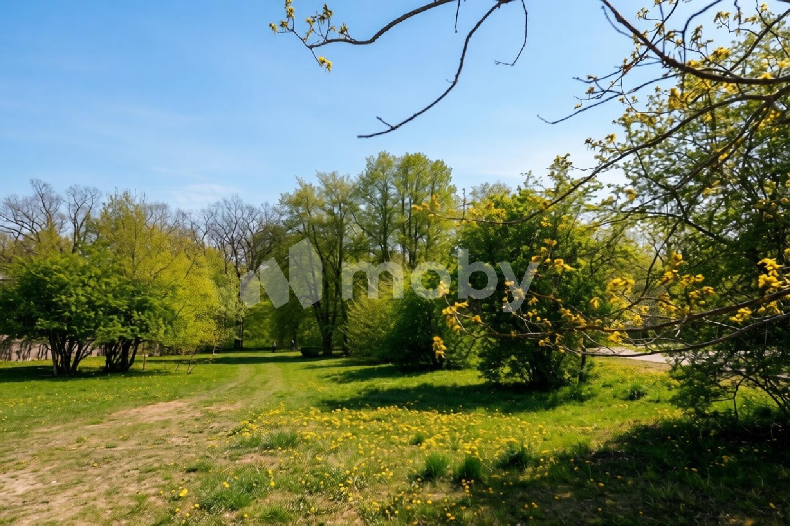 Фото: 7efab55e-c4ad-431e-8710-36c89963f7f0.jpg