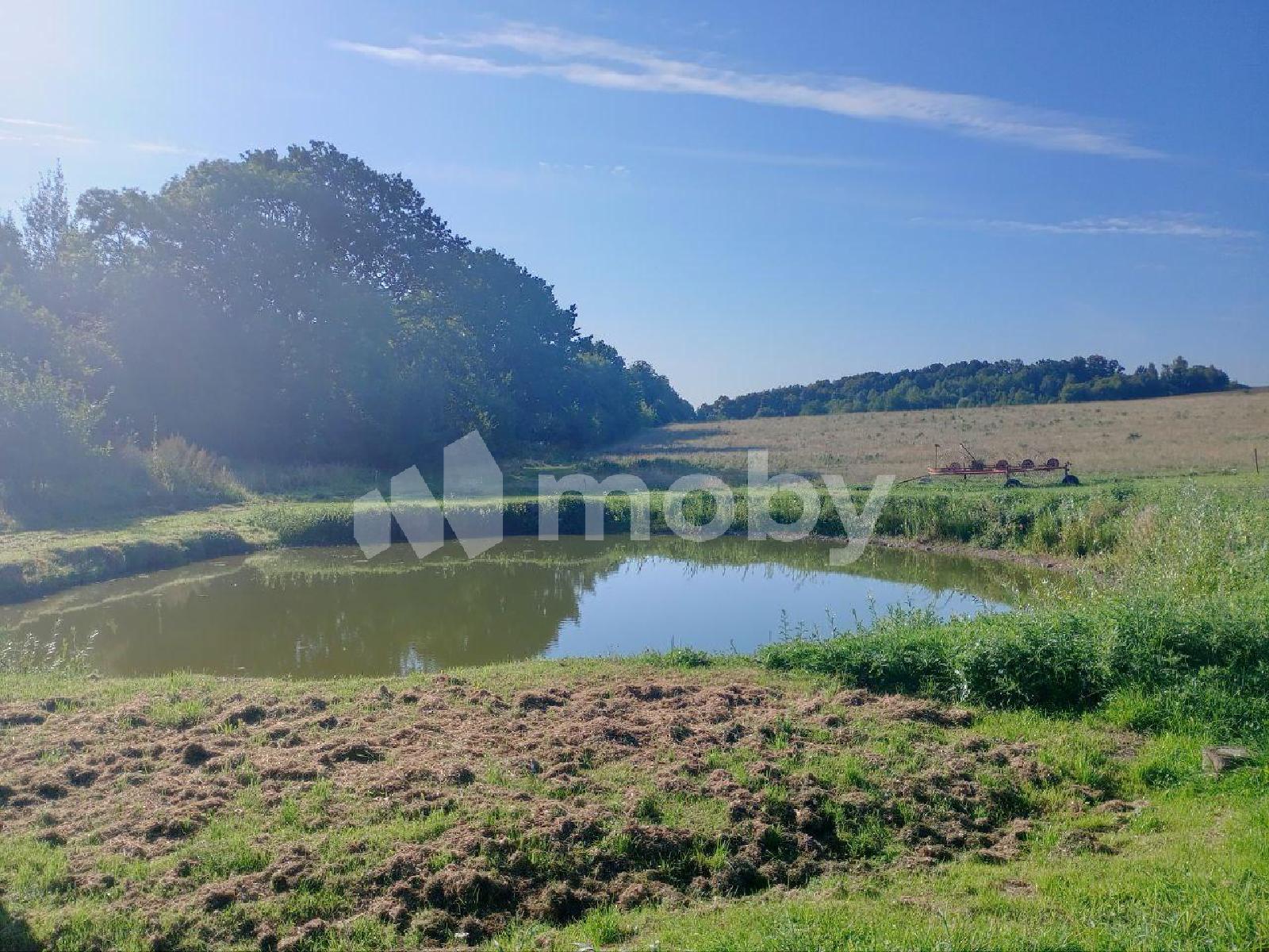 Фото: 7f9bf70d-307b-415f-be4b-bf83bc6cabf8.jpg