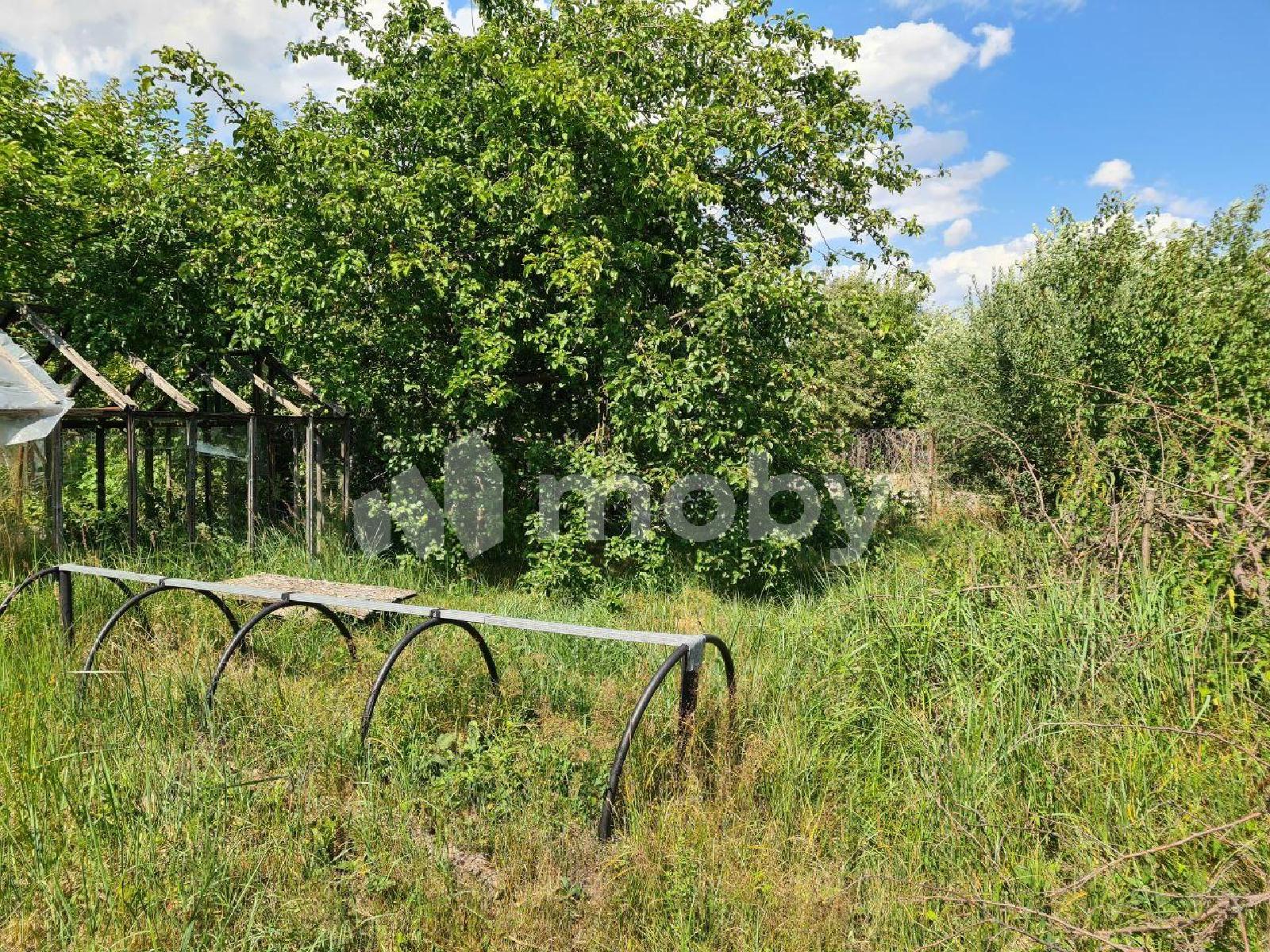 Фото: 7fa72ecb-c078-4bcd-b294-c2ed0d54984b.jpg