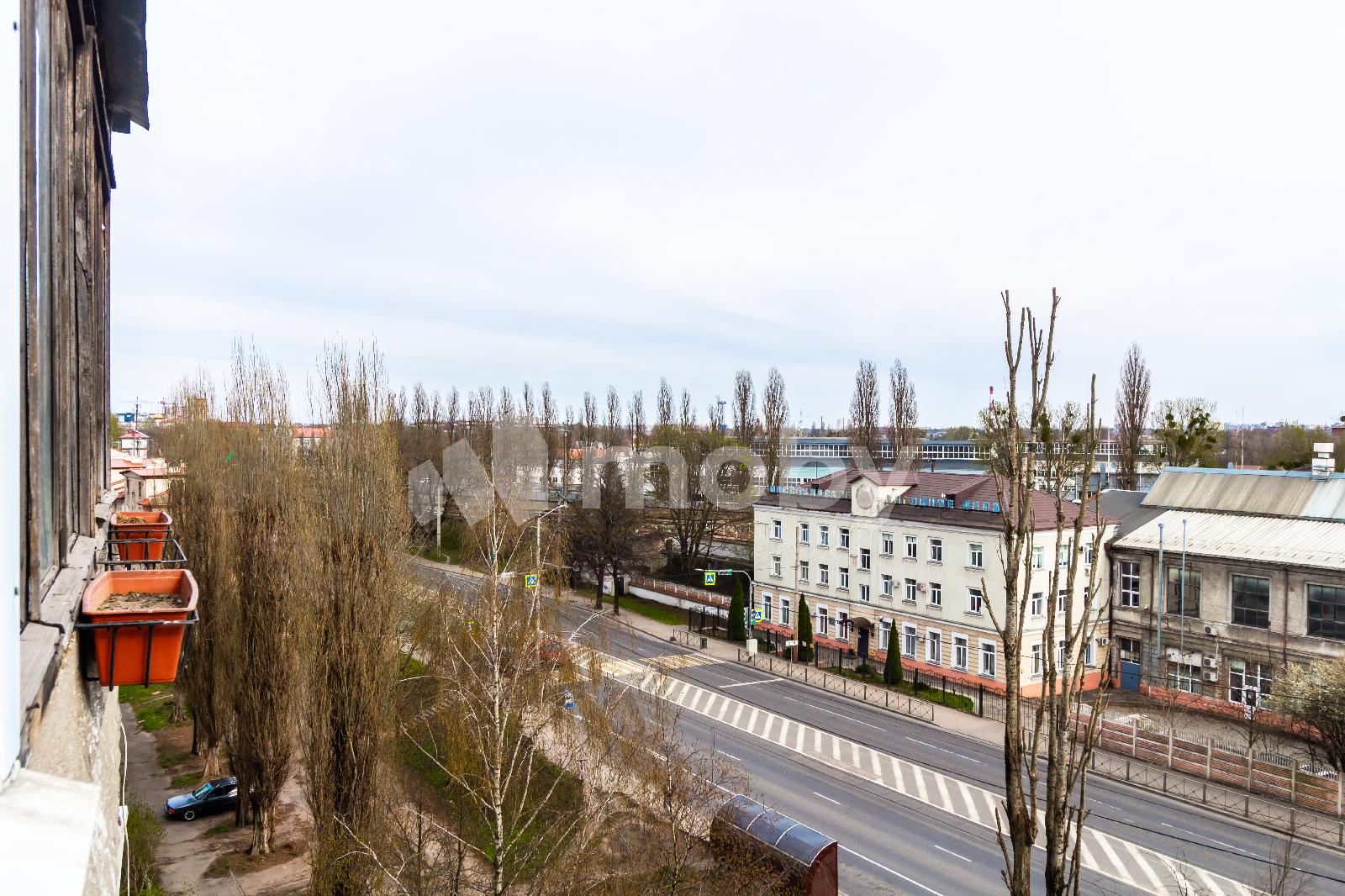 Фото: 804ab620-f945-48e3-a724-cbae9b76617a.jpg