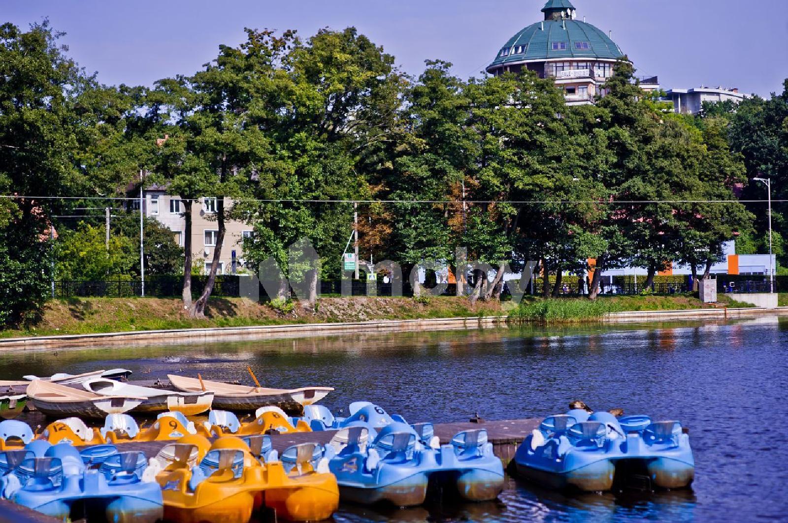 Фото: 80a8e464-92ae-4da9-a038-fe9d0a33225a.jpg