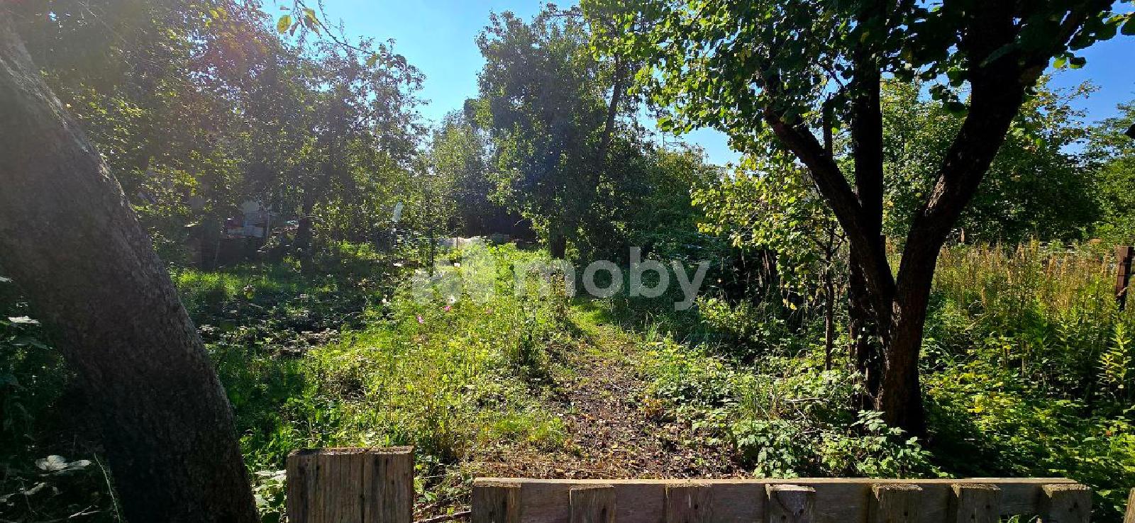 Фото: 80d4ba6a-d8cf-4a14-9867-df6e84f18d46.jpg