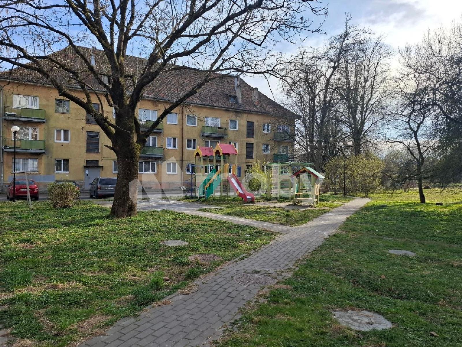 Фото: 80e45d8e-21a3-41ab-be8d-f3edb3ab7719.jpg