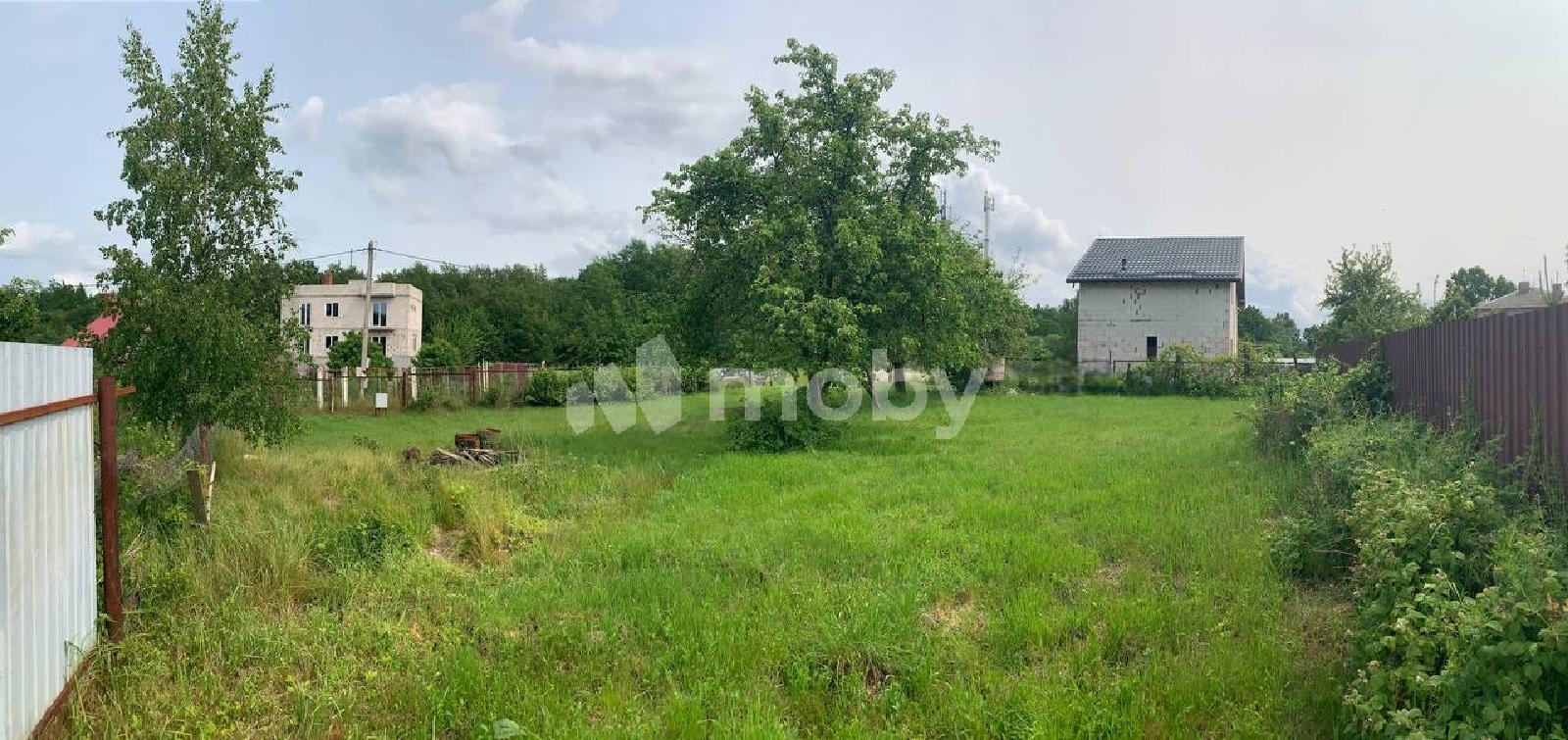 Фото: 80e4cdd6-6b60-4cb9-8435-bd75e8f1e4d3.jpg