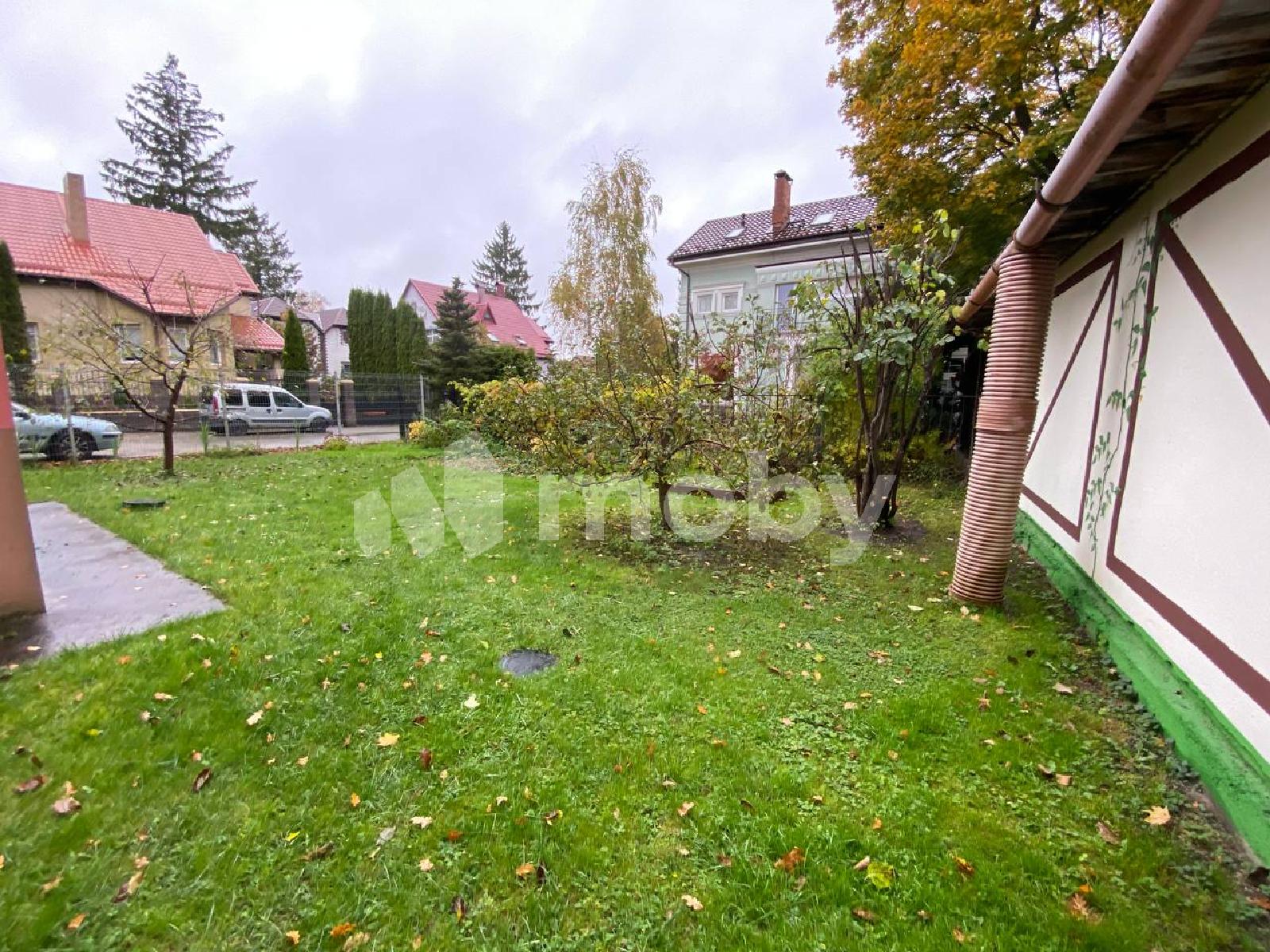 Фото: 8267e337-ad91-43bc-83e0-3ca59e74ef7a.jpg