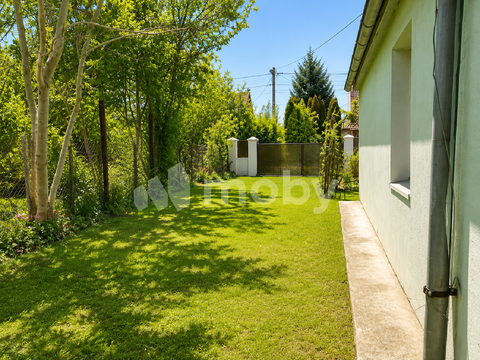 Фото: 83b1992a-a7ff-400f-92d6-fc6606ba8a7c.png