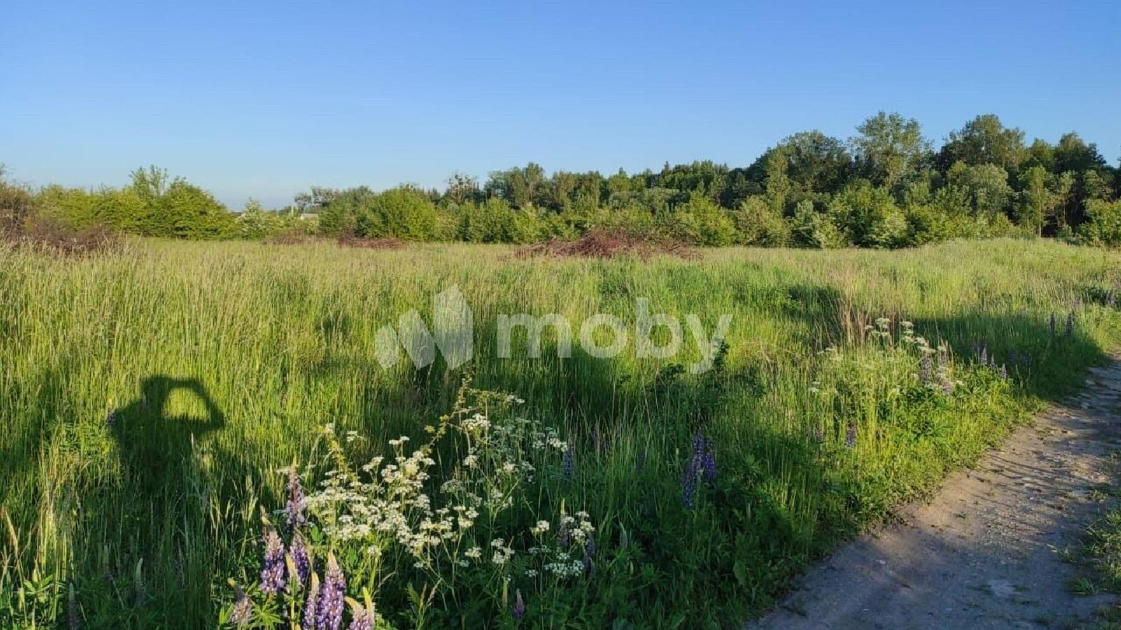 Фото: 83d835ca-234e-4cb8-a68f-f2993d3e6725.jpg