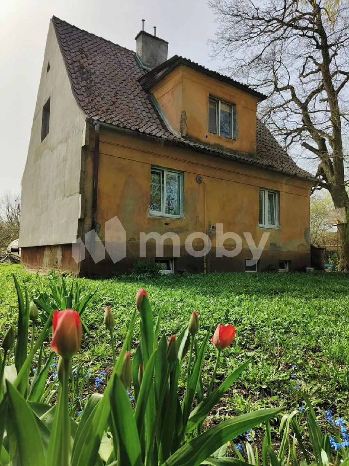 Фото: 83edb0f3-56d0-4d77-a054-e12059dfc6bb.jpeg