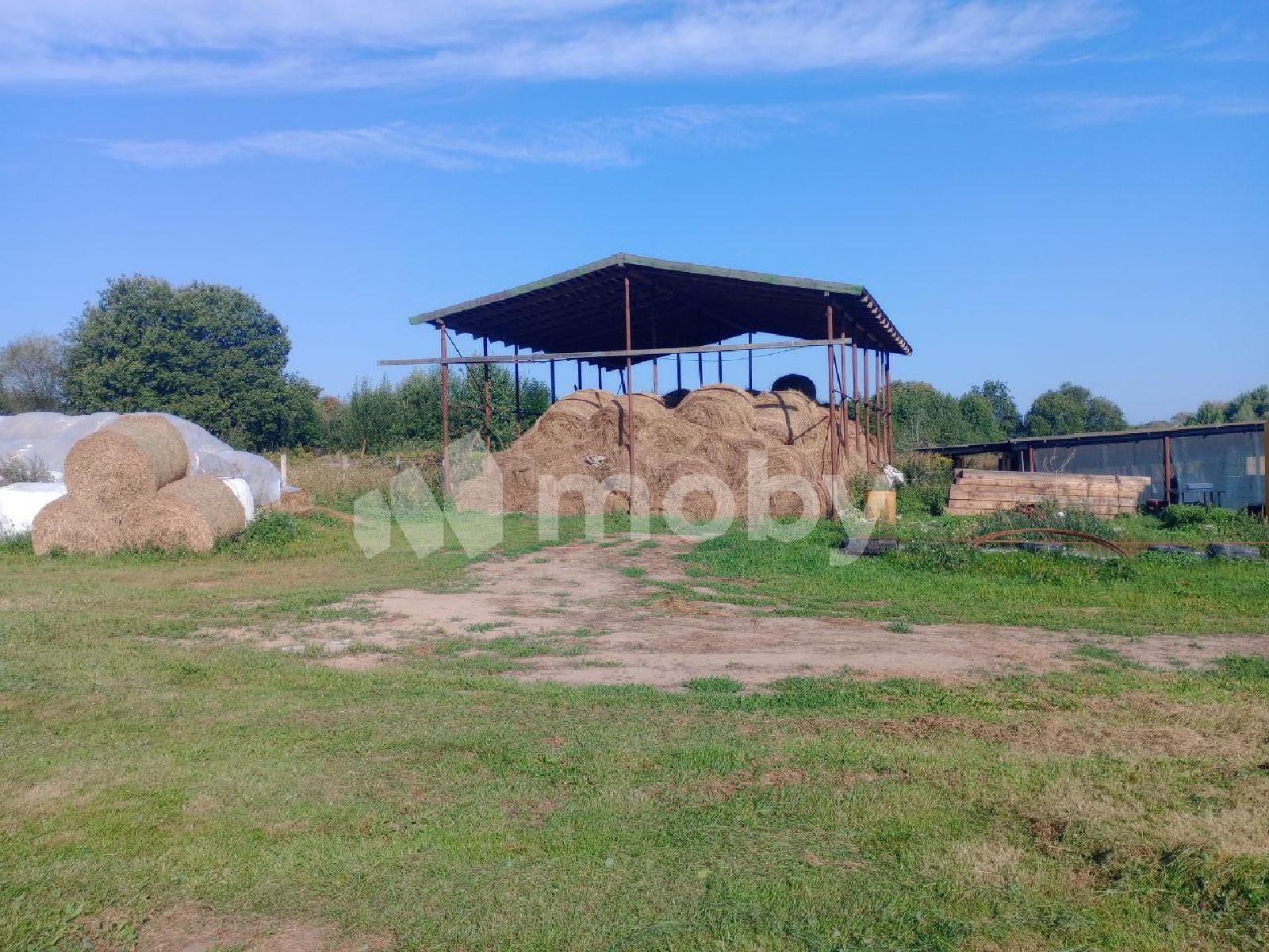 Фото: 8481fff3-8fad-4a86-a72b-be5a746e3ac7.jpg