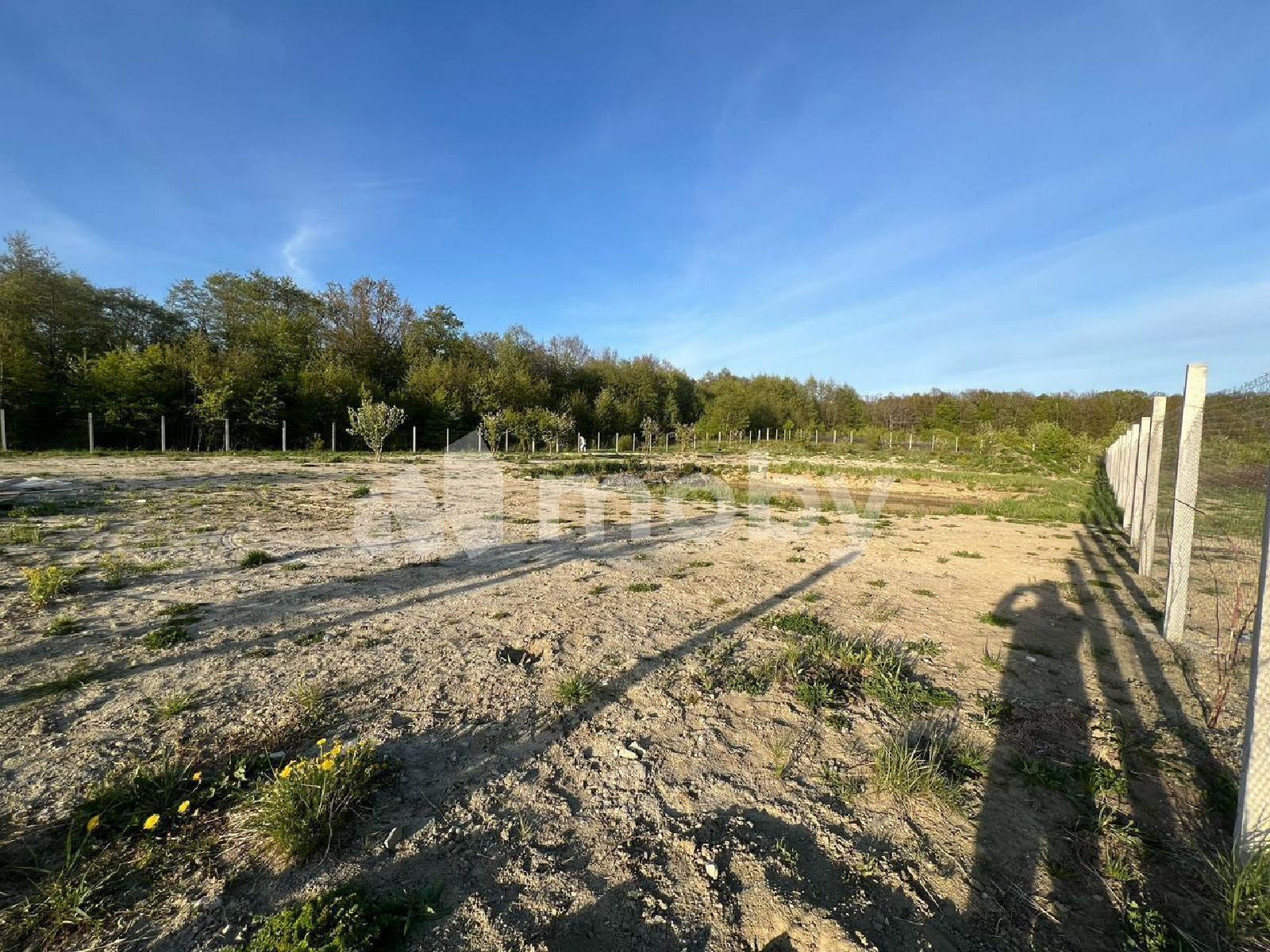 Фото: 84c24af4-f09b-49a1-b559-4db627712e62.jpg