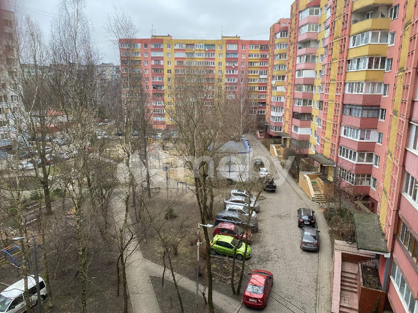 Фото: 856694b3-82fe-4177-b8cb-fa218e3968e8.jpg