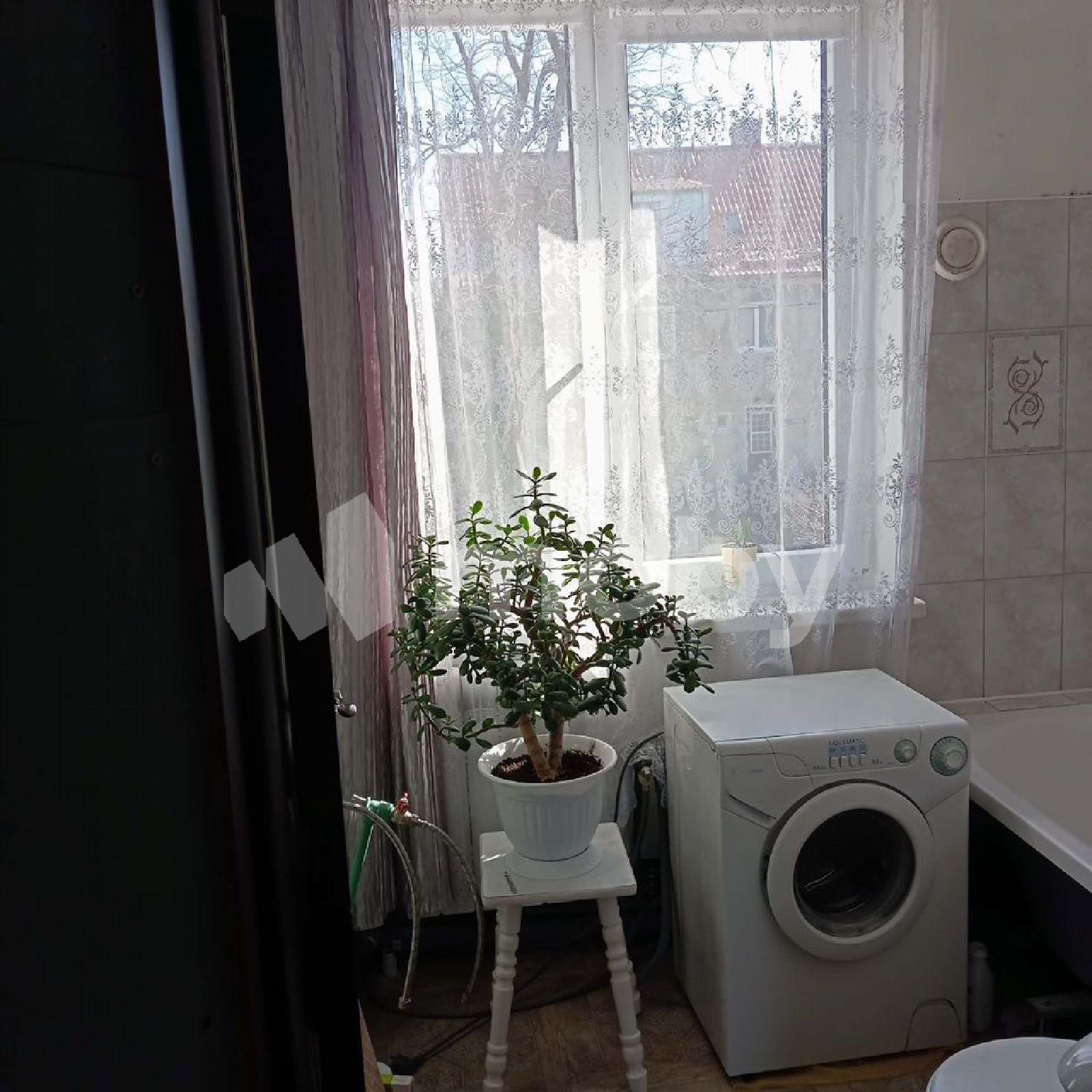 Фото: 8567fe92-2c8f-457e-9235-d3bed6211e80.jpg