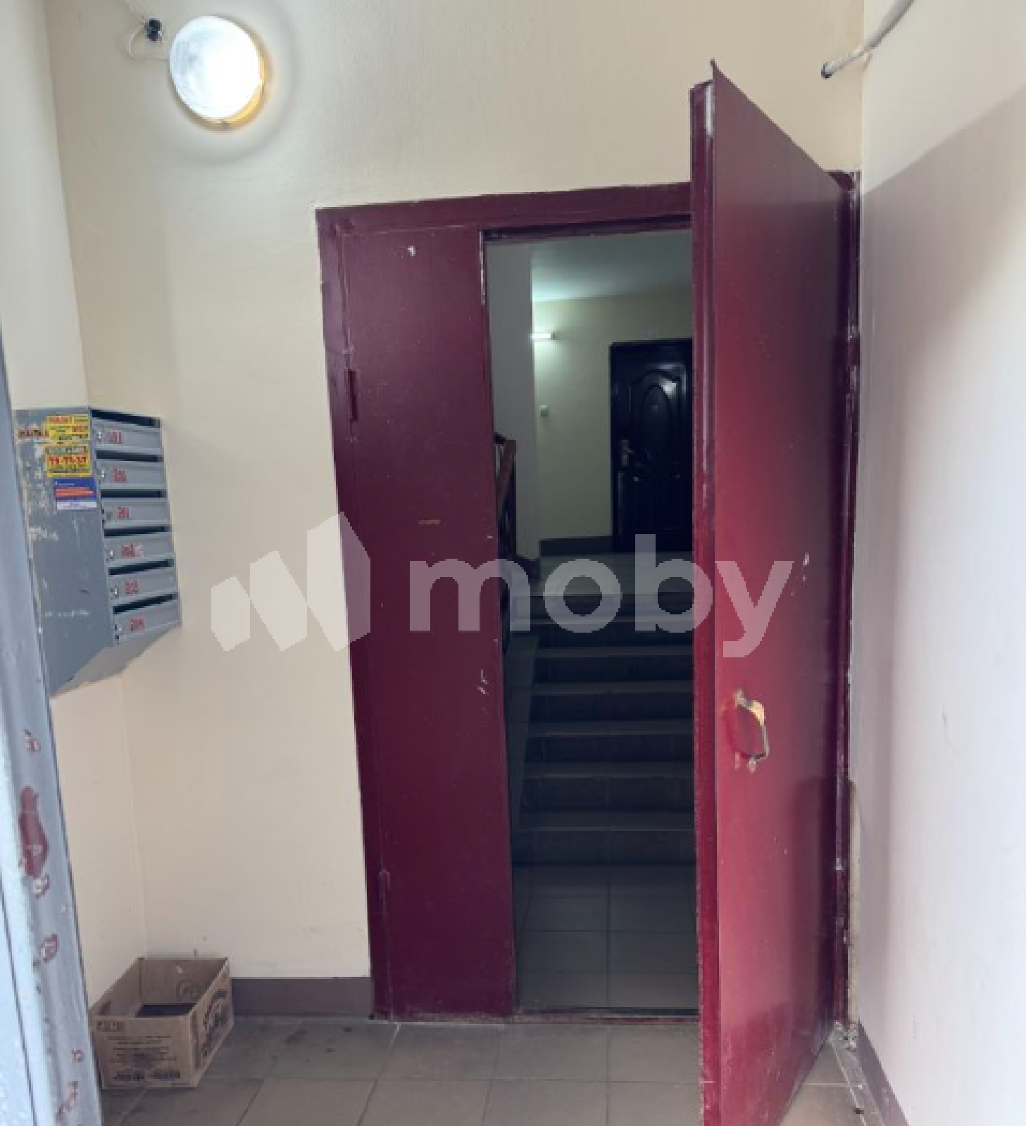 Фото: 85e86e1d-1c33-4288-adc7-408976adfed6.png