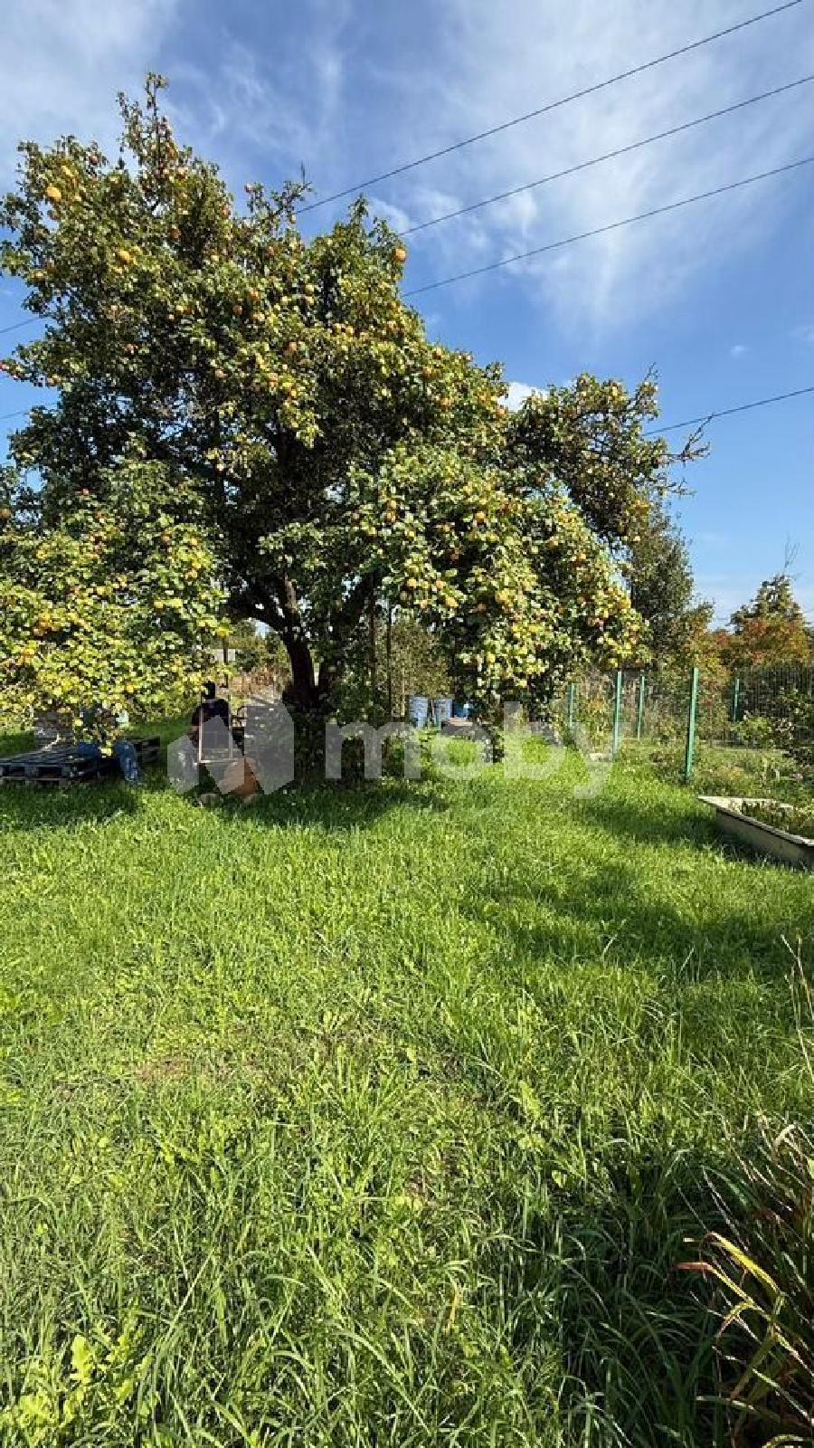 Фото: 872dd0df-7dc7-4c39-bb79-9e89b45ea5f1.jpg