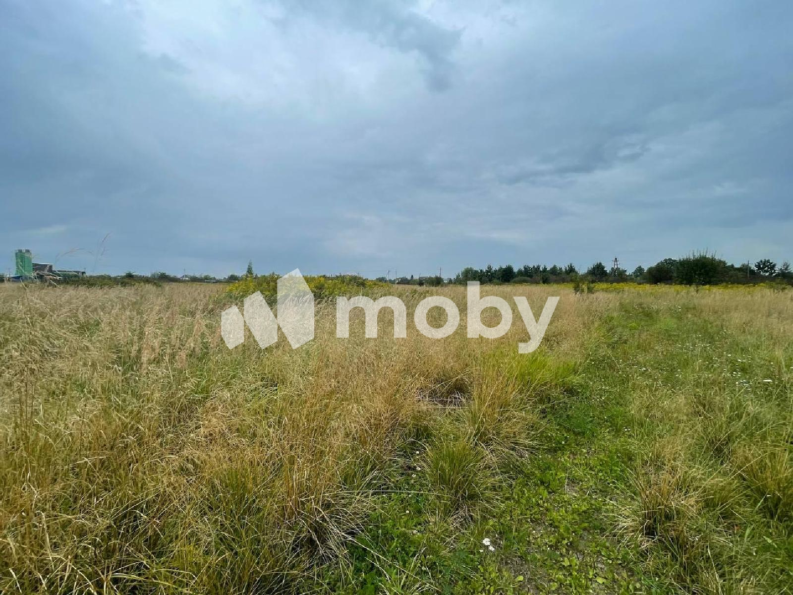 Фото: 8788835f-c2df-4bc2-a233-b61a2c93c9ce.png
