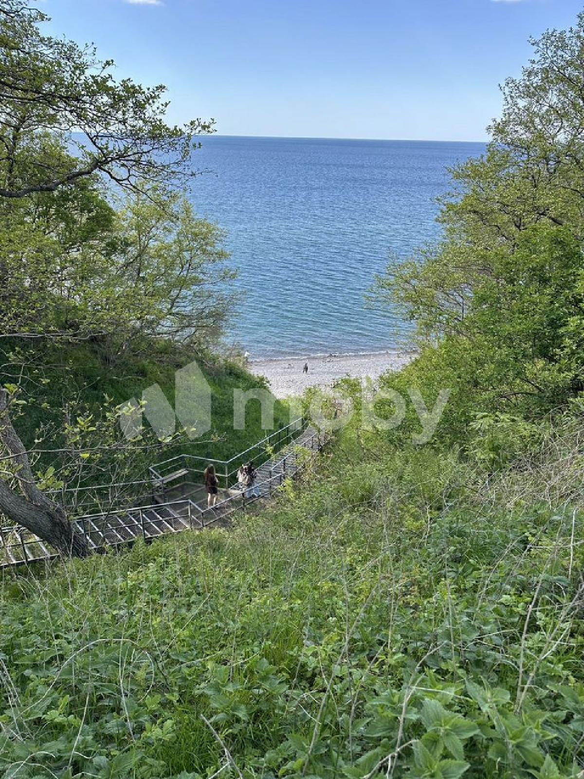 Фото: 87961504-459b-4a3c-b915-7092f4f058ca.jpg