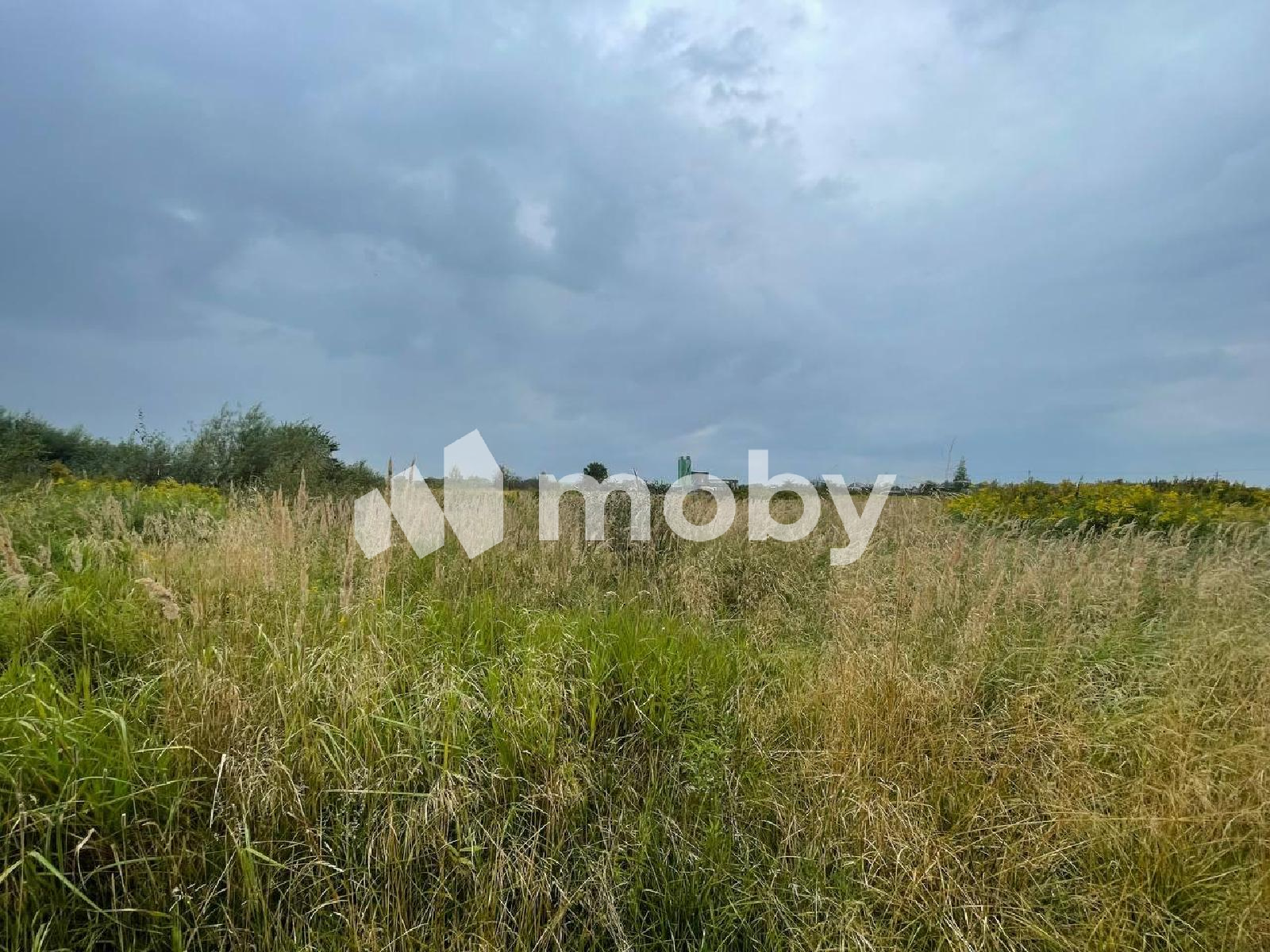 Фото: 87e4dc46-c358-499f-89f7-99f839ee78f0.png