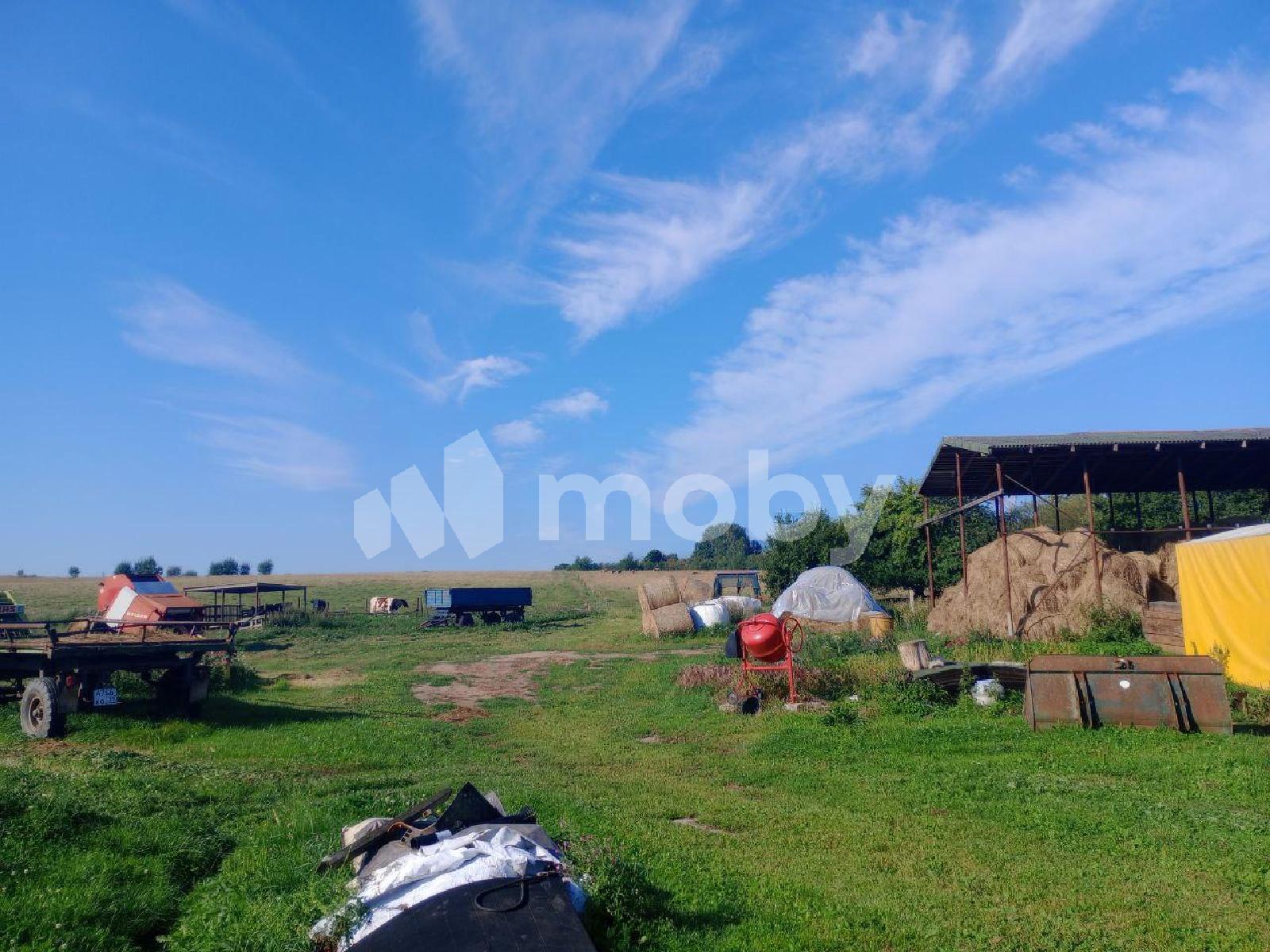 Фото: 8824616e-0a02-4378-ae5c-d49e36846c8b.jpg