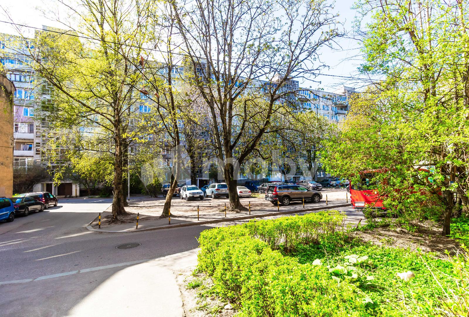 Фото: 88b74981-3cc3-4bcc-b802-2895646e6b65.jpg