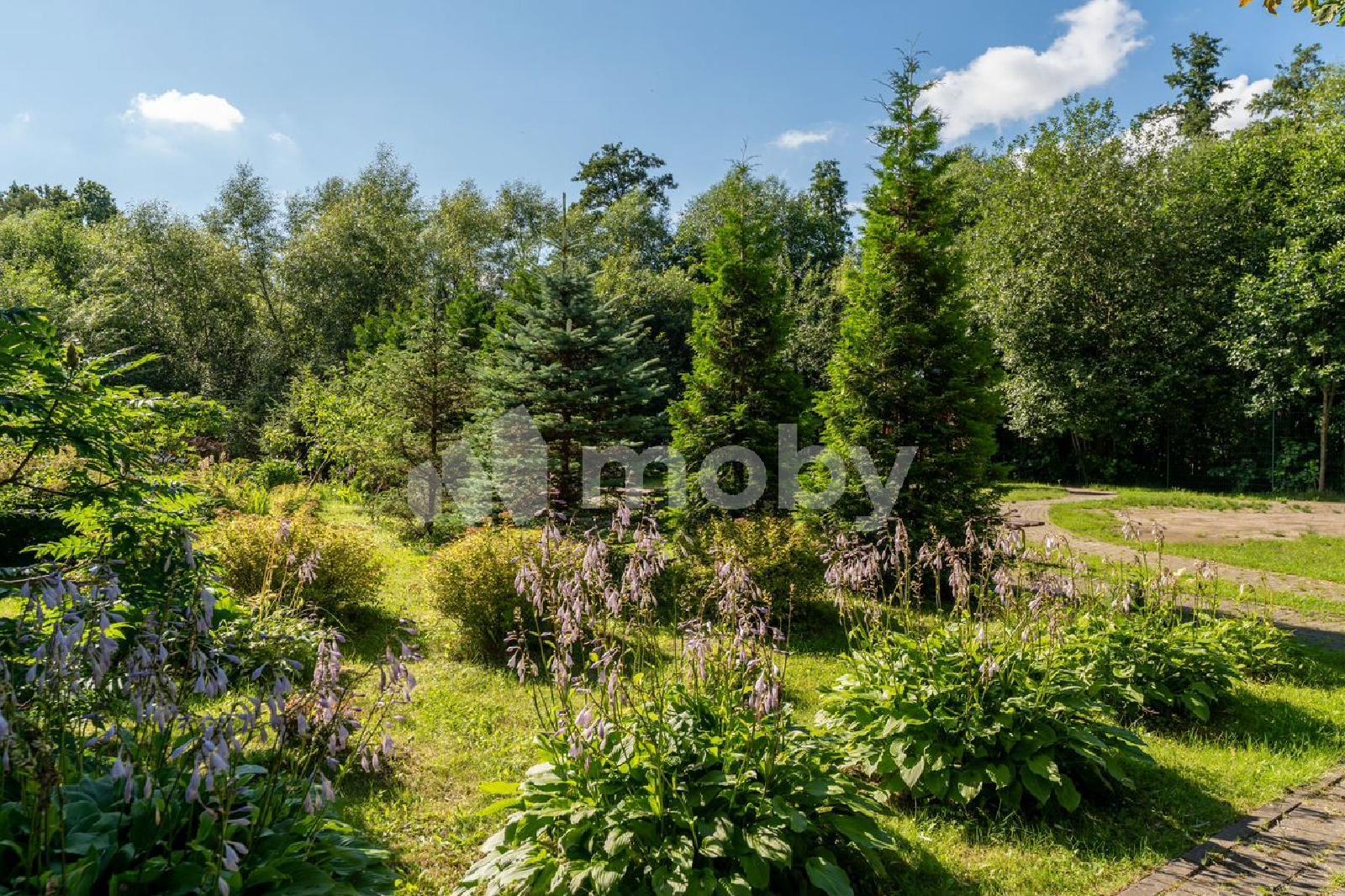Фото: 8901eee4-d720-42be-a6a7-affff6ce0b95.jpg