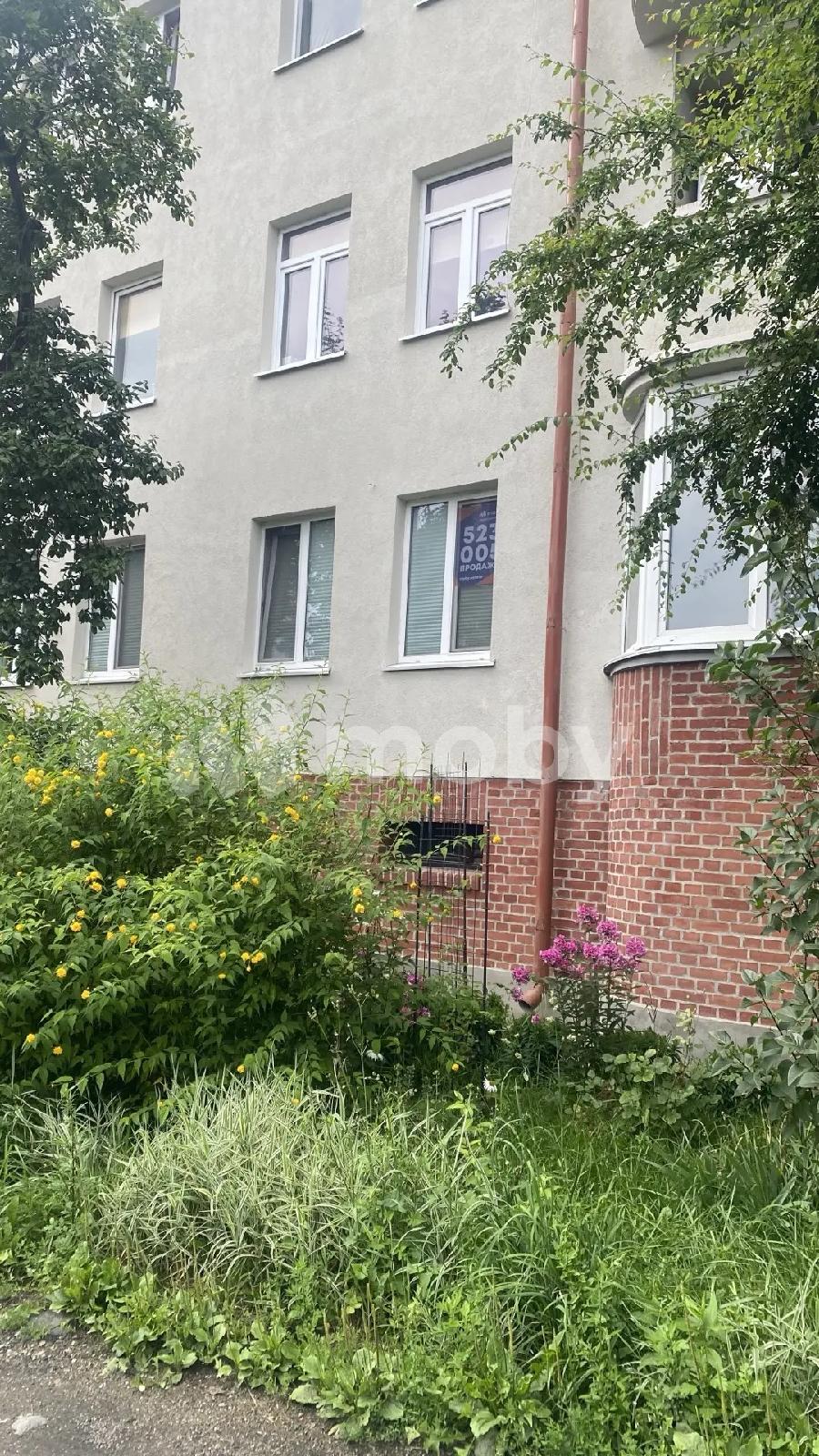 Фото: 891ecf6c-9184-47b2-9bbb-c21cdc41ede7.jpg