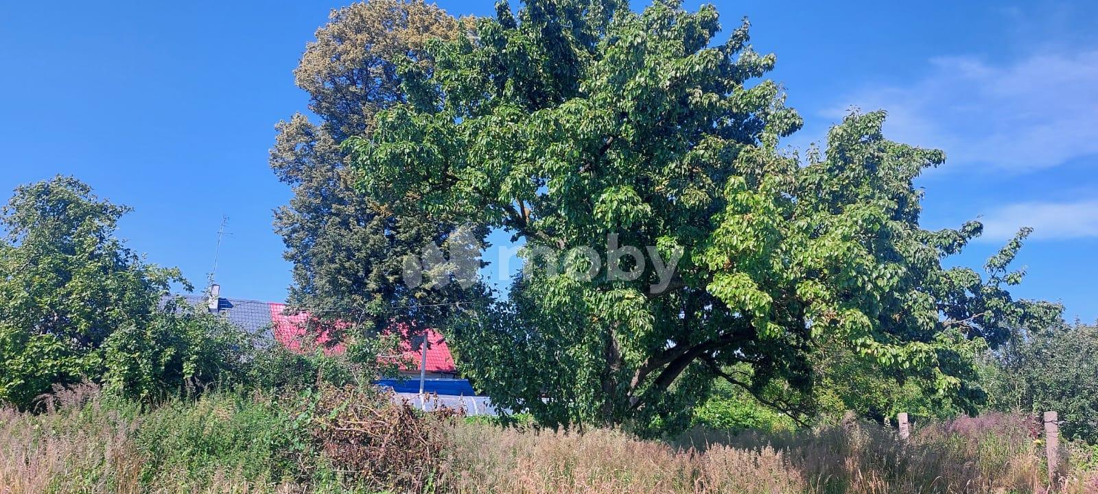 Фото: 8971ab33-c946-45b1-b4dc-48e6ef18641b.jpg
