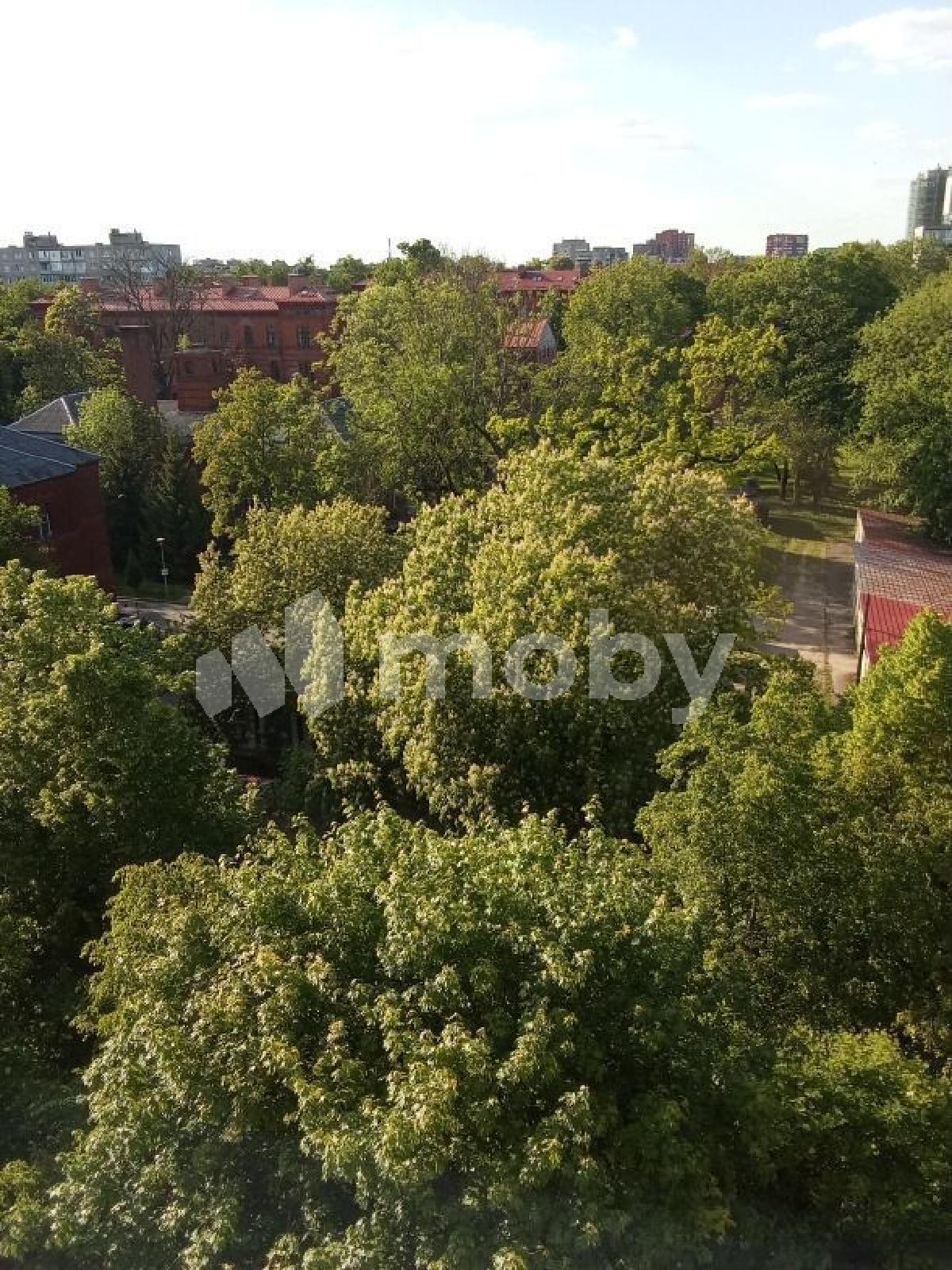 Фото: 898050ce-3ca5-4249-8b7c-64ea4be44993.jpg