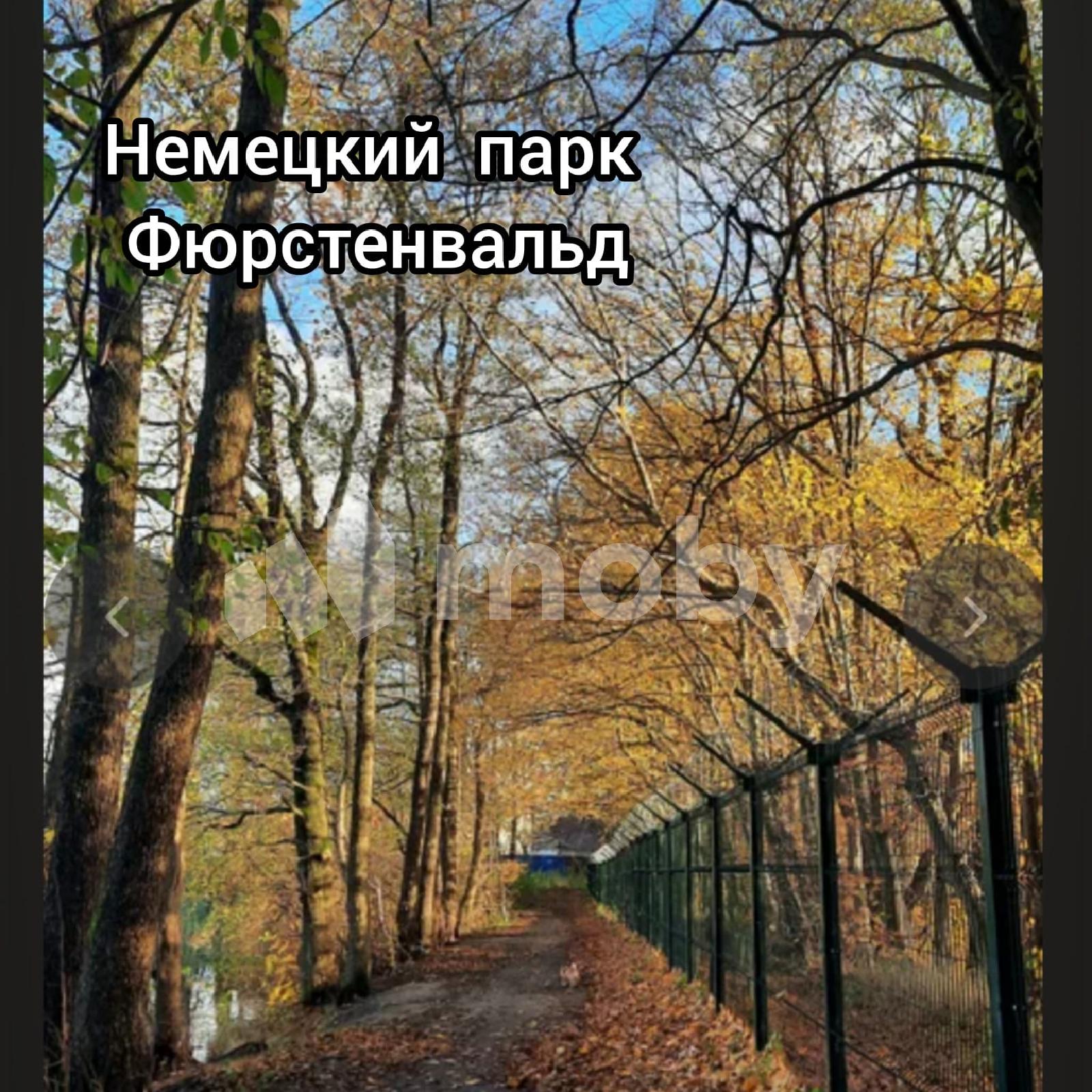 Фото: 89ace631-efa2-4b21-9c10-e7abc1fc9af0.jpg