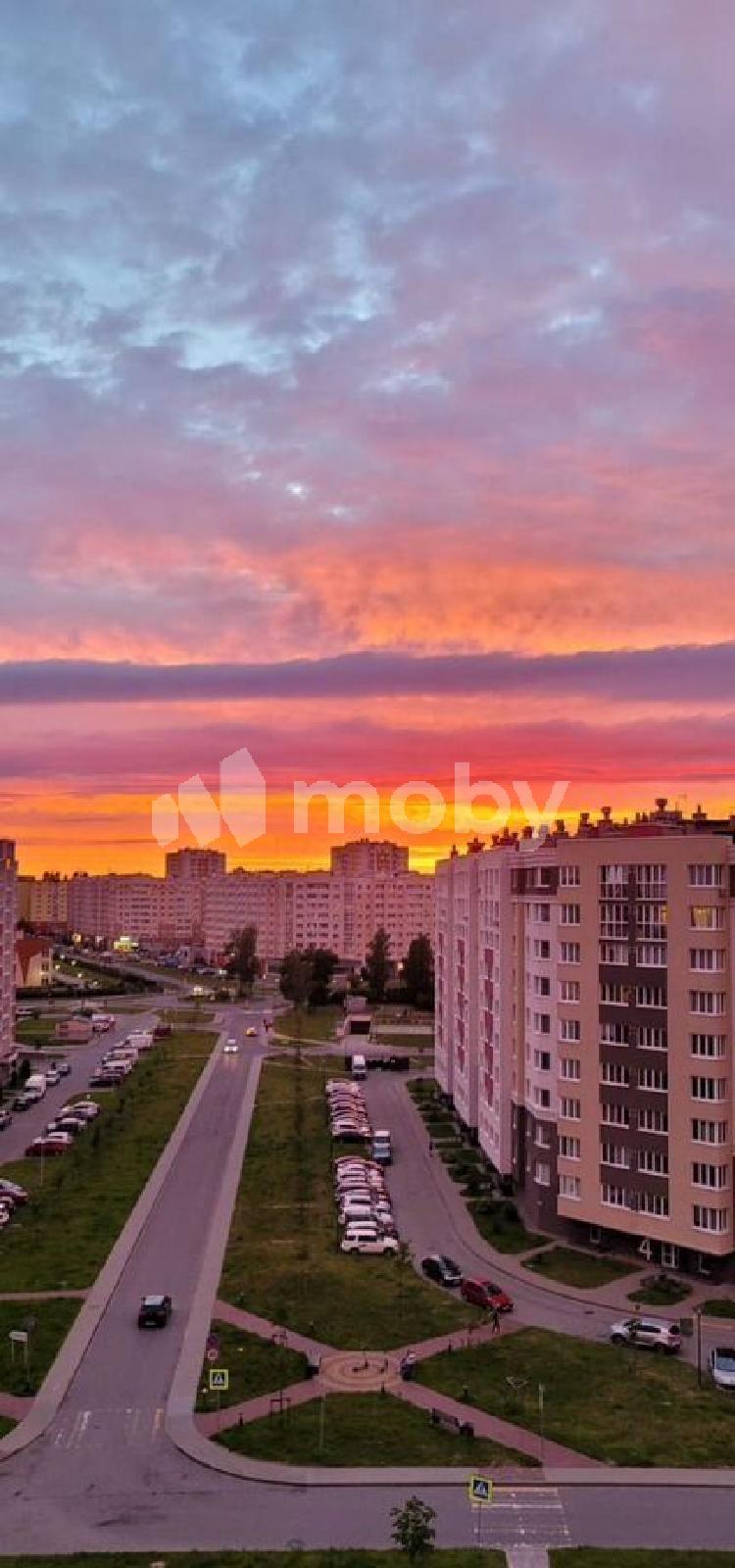 Фото: 89e1a106-ec49-4bf4-9e37-203a08a0e374.jpg