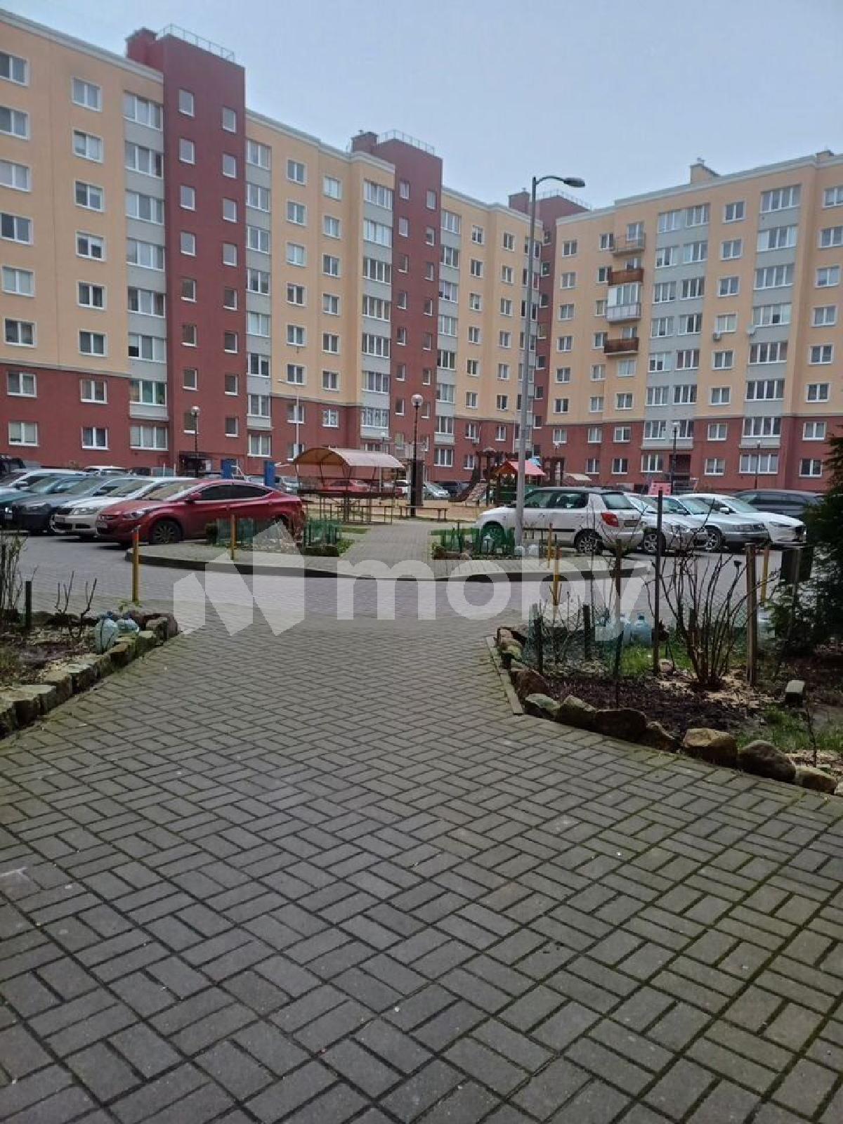 Фото: 8a7fc88b-7da7-4c81-9b66-dbd46533caab.jpg
