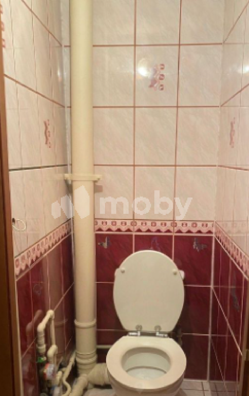 Фото: 8a896a87-de68-45c8-9bfb-5065fc57598a.png