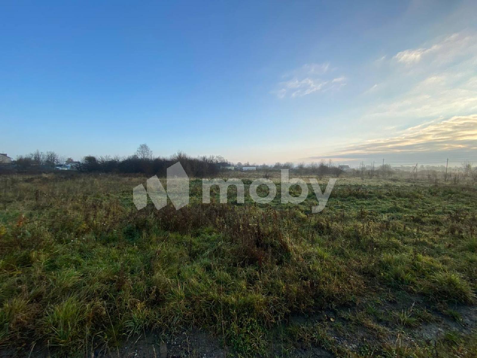 Фото: 8a98ed36-184f-4443-87a9-4484b240e1b7.jpg