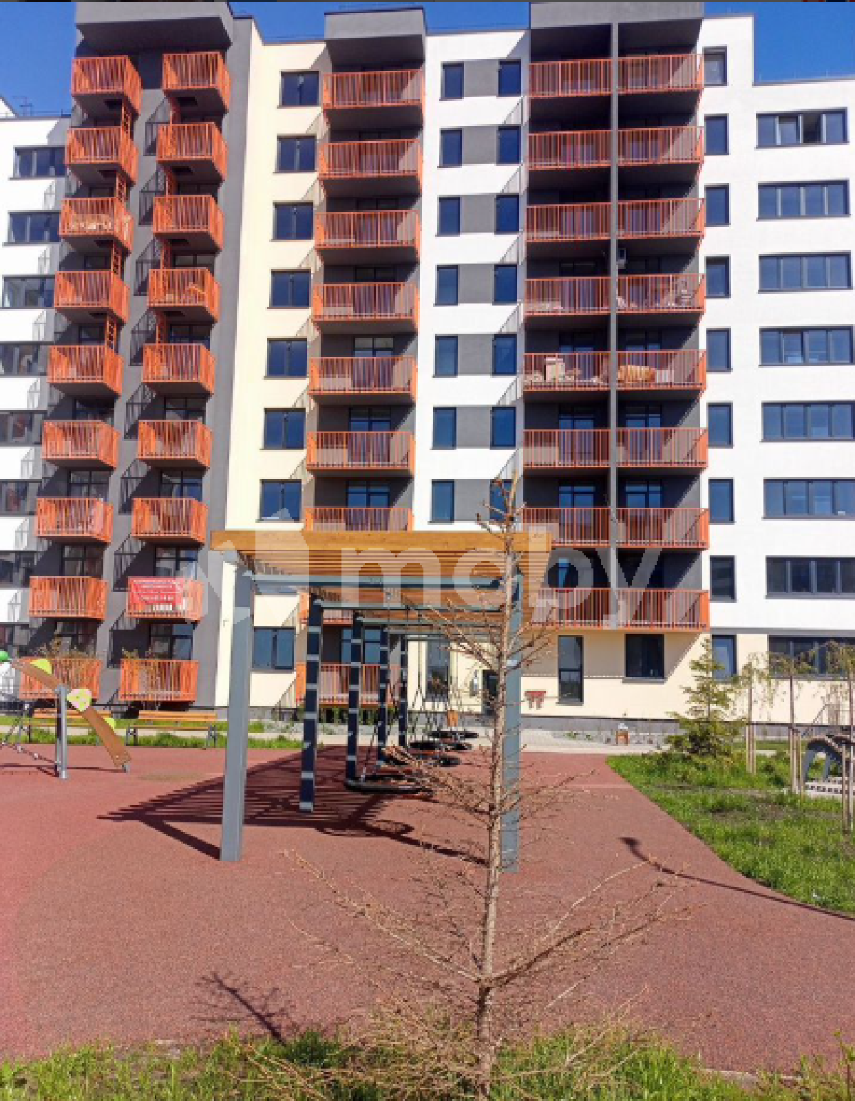 Фото: 8b2a1b50-9c1b-4ad4-8971-aa24688f1d57.png