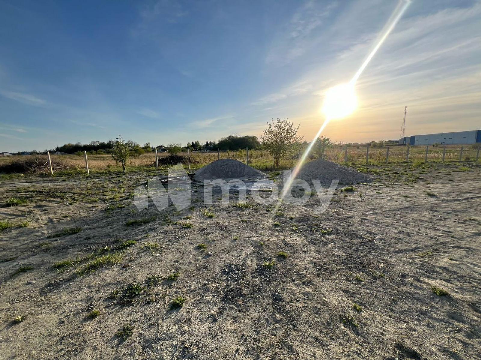 Фото: 8b928443-d3c5-491d-9abb-ca42e166efd7.jpg